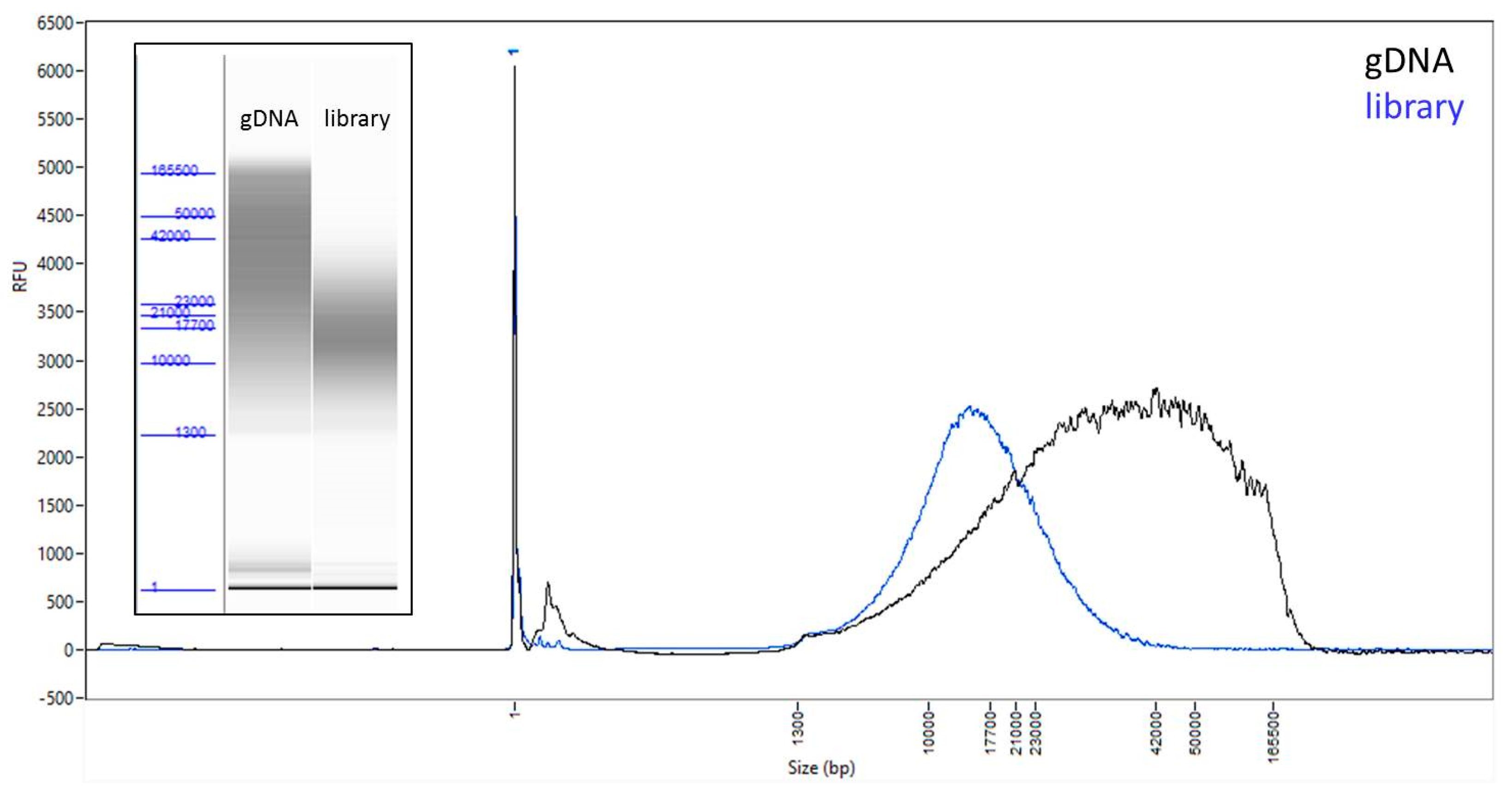 Genes 10 00062 g001