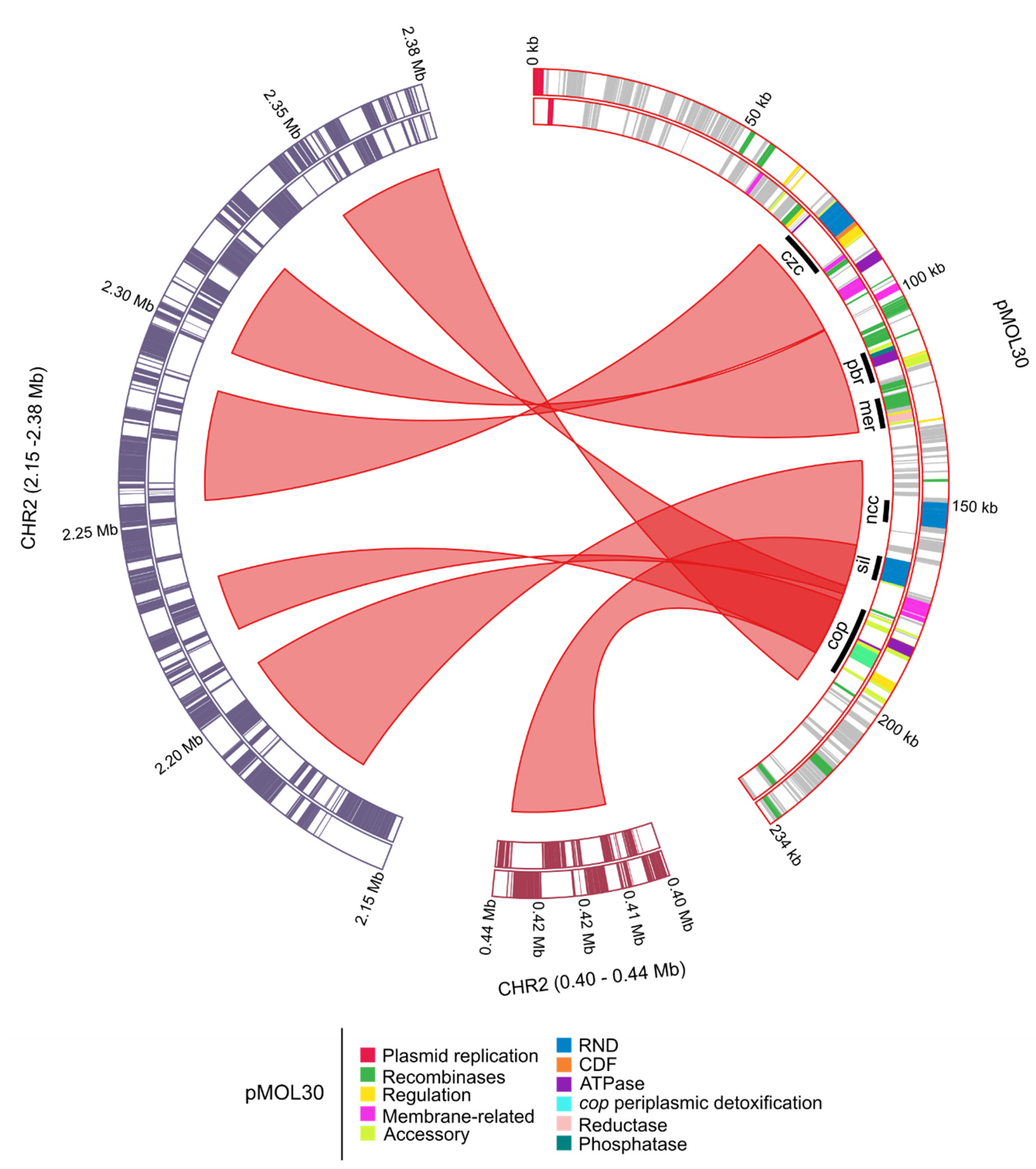 Genes 10 00063 g003