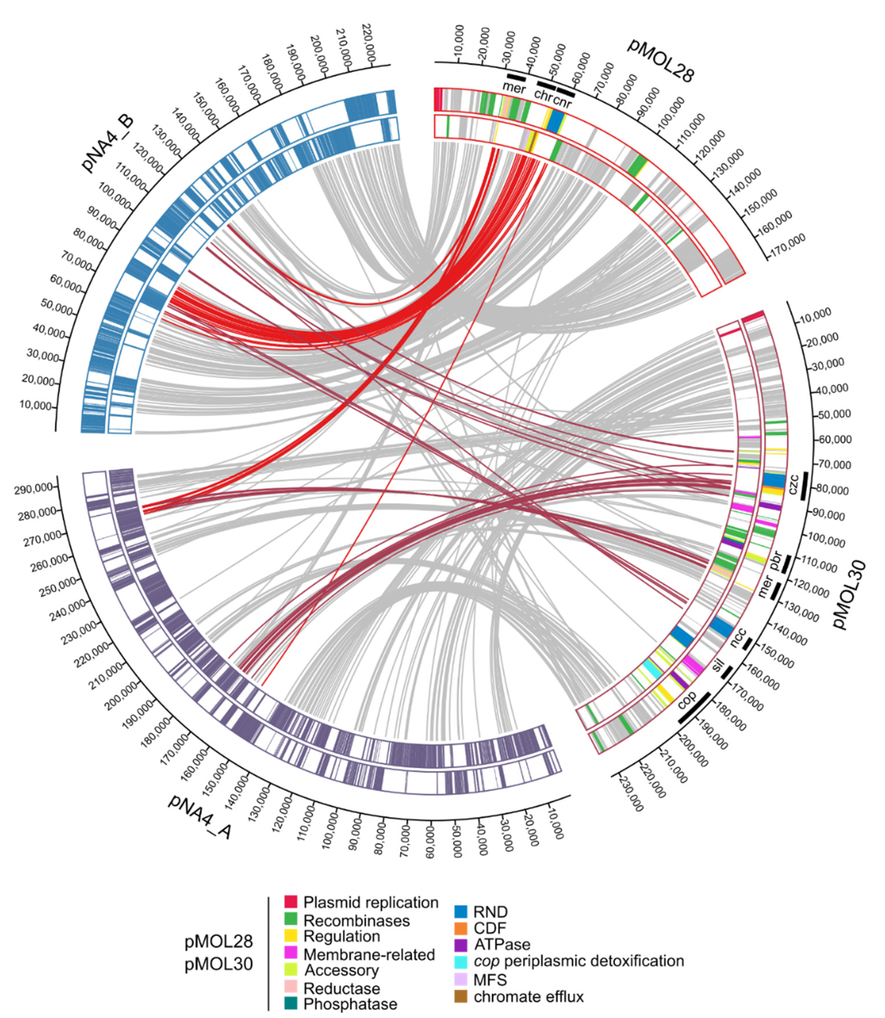 Genes 10 00063 g004
