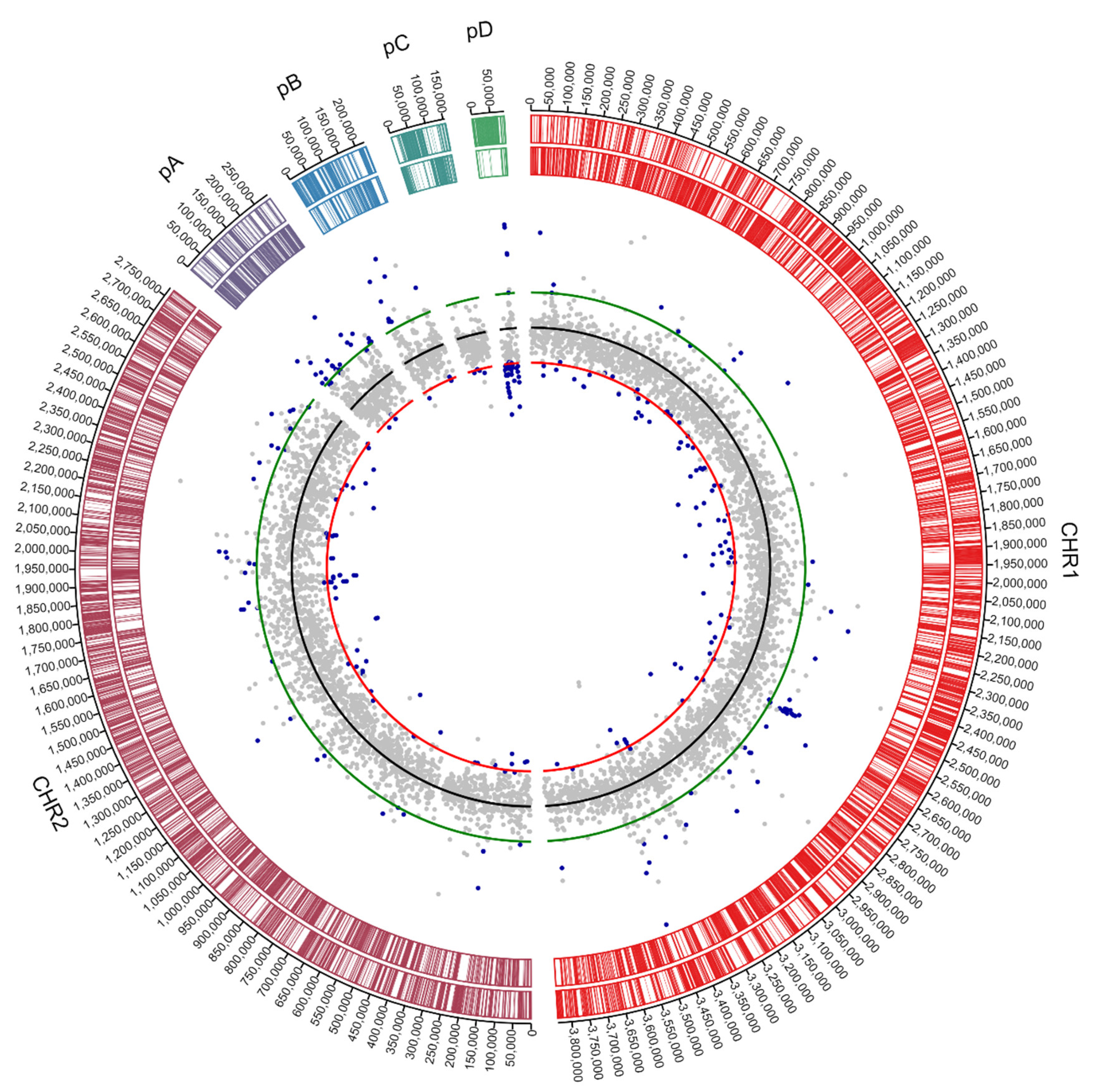 Genes 10 00063 g007