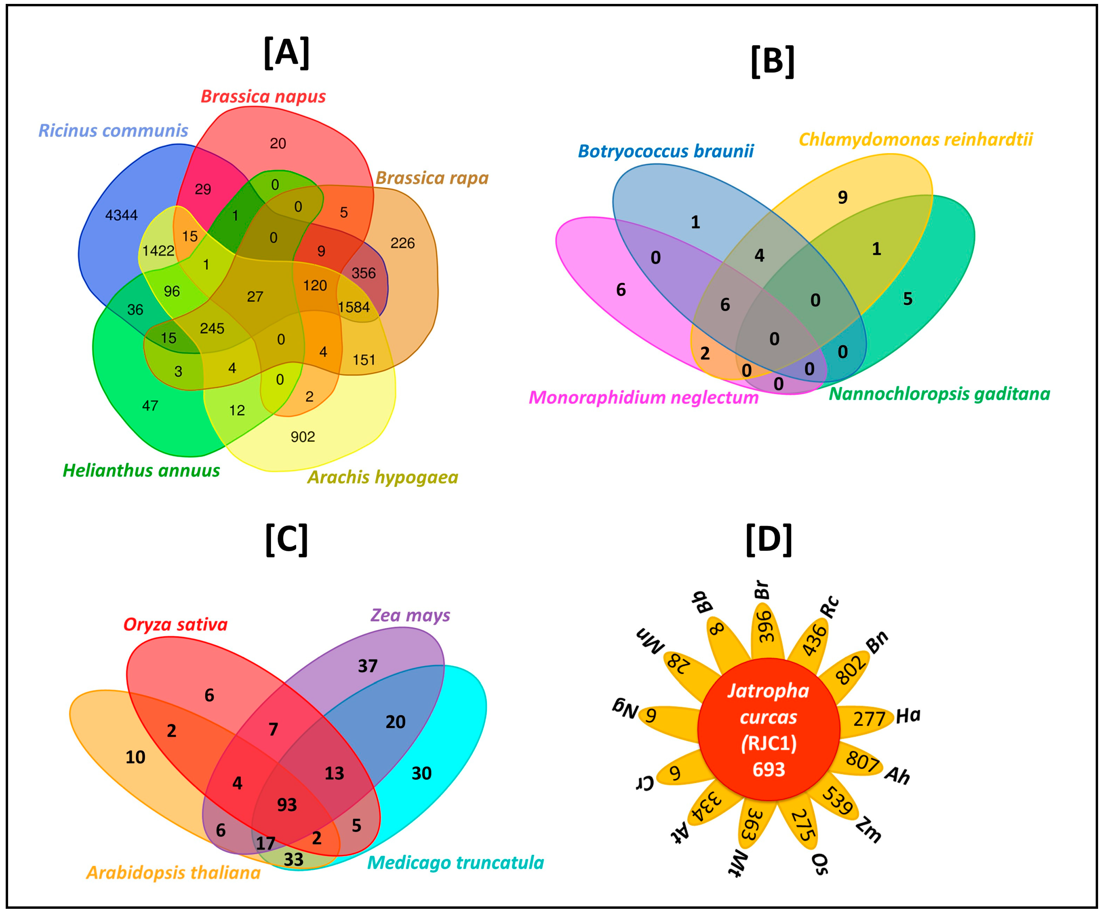 Genes 10 00069 g005