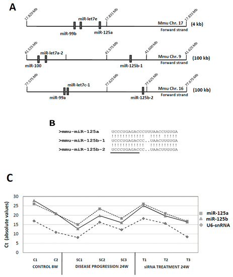 Genes January 2019 Browse Articles - 