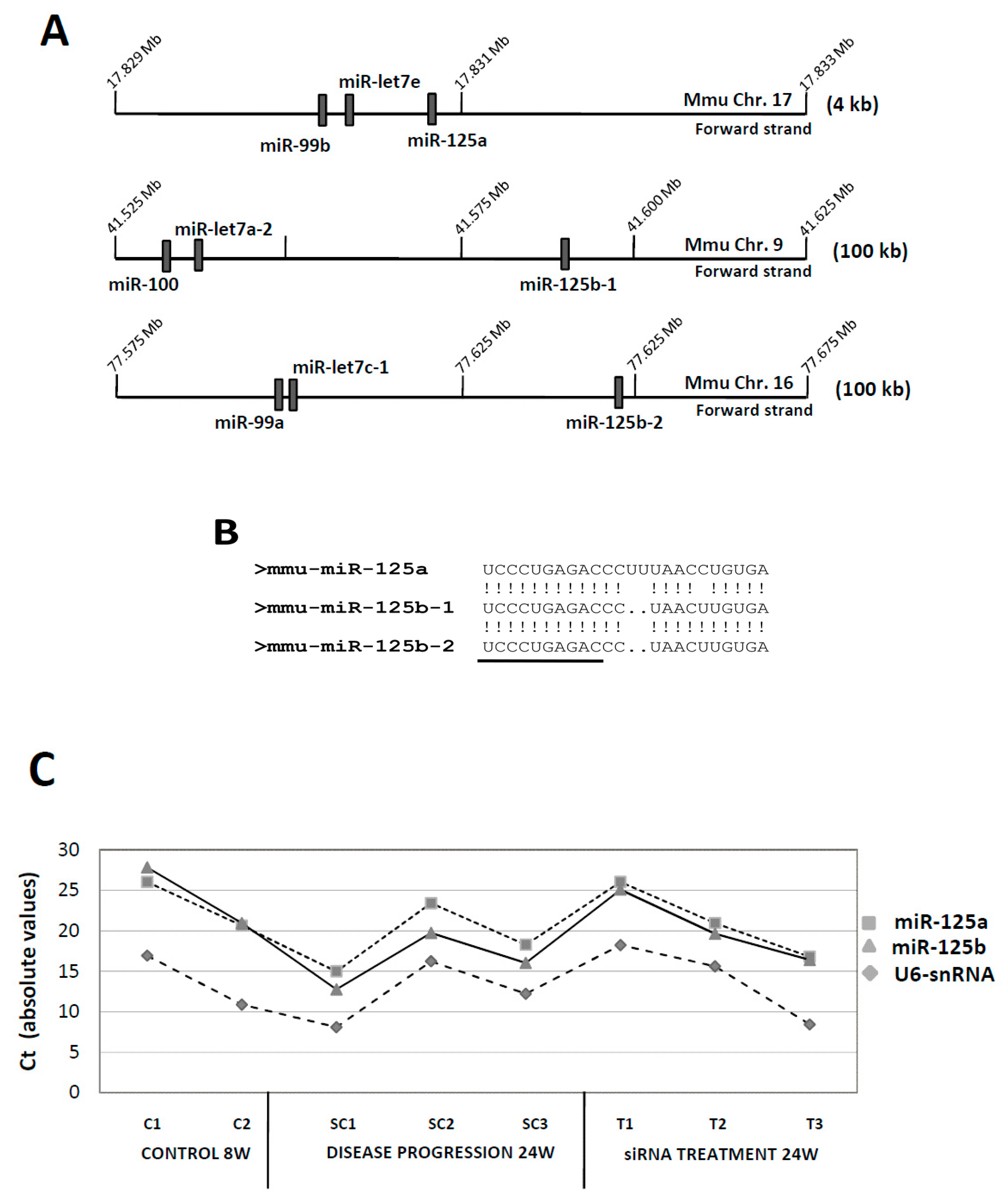 Genes 10 00070 g001