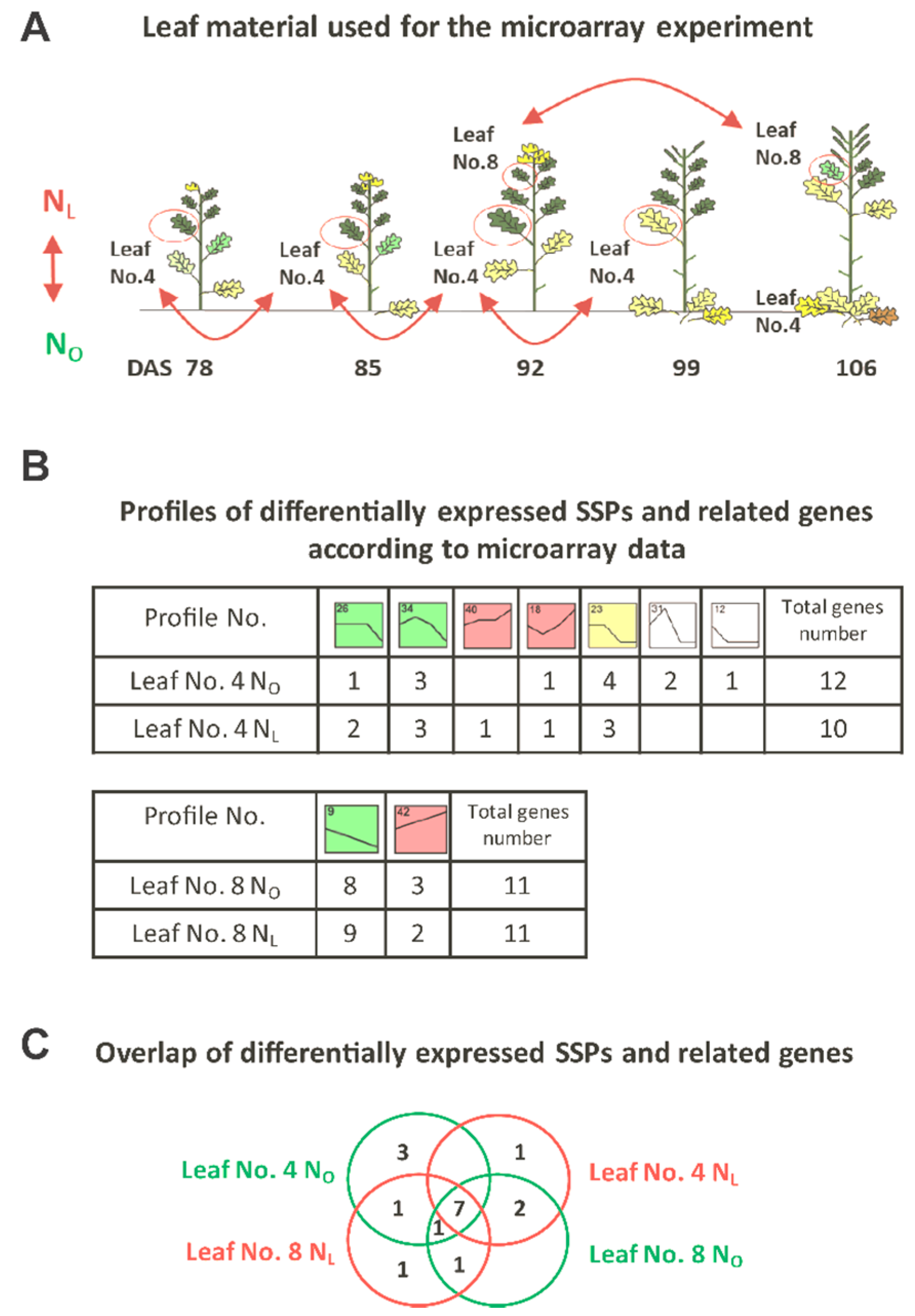 Genes 10 00072 g001