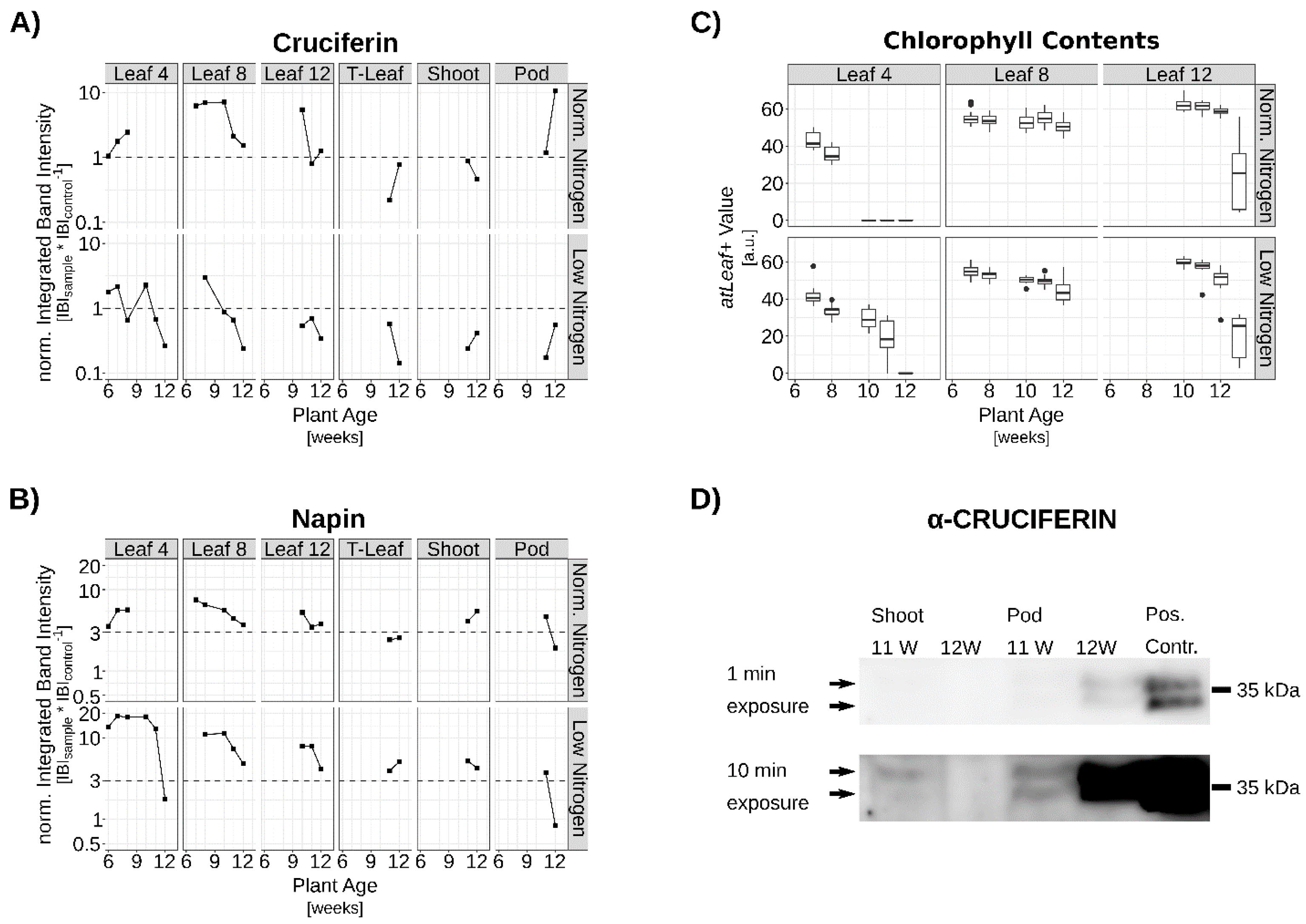 Genes 10 00072 g003