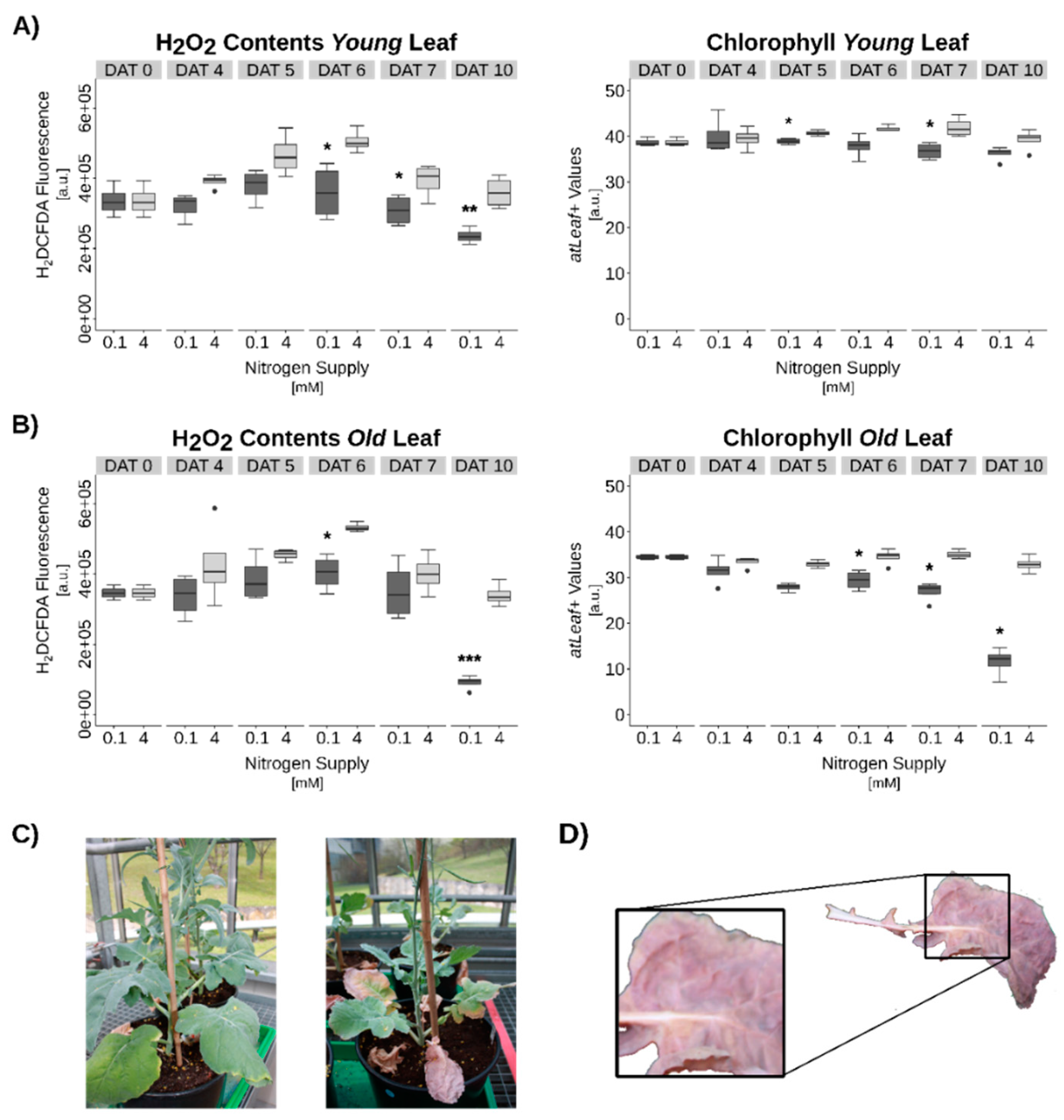 Genes 10 00072 g005