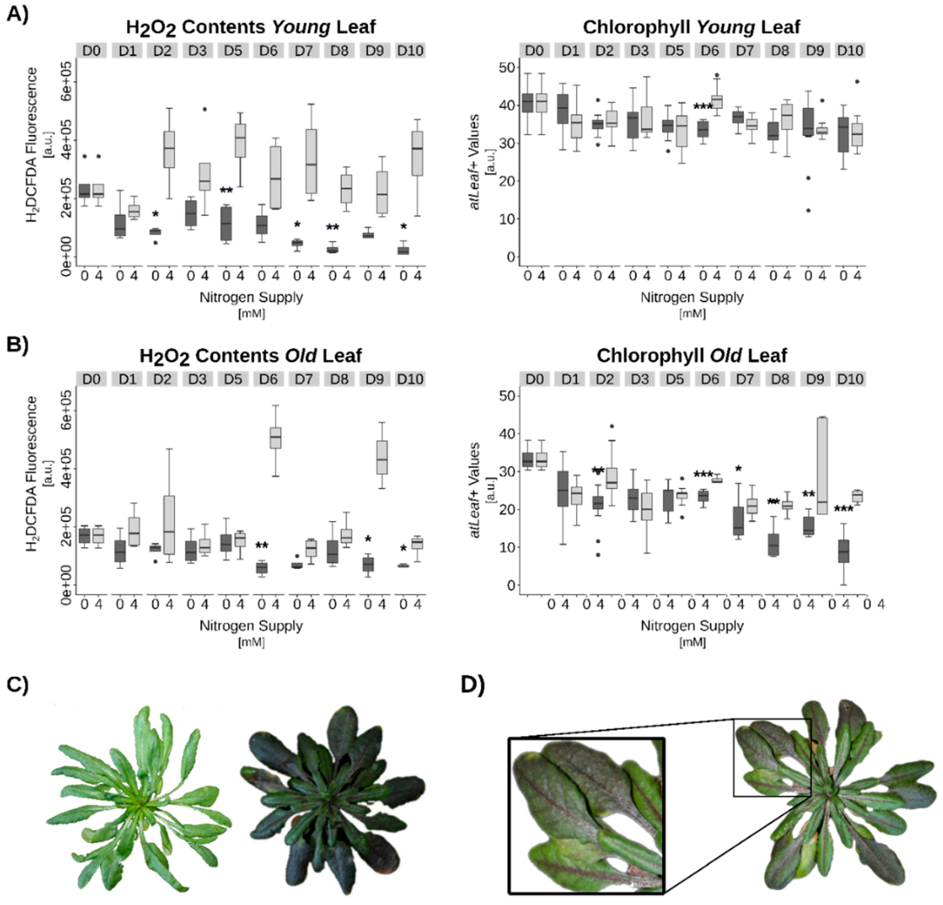 Genes 10 00072 g006
