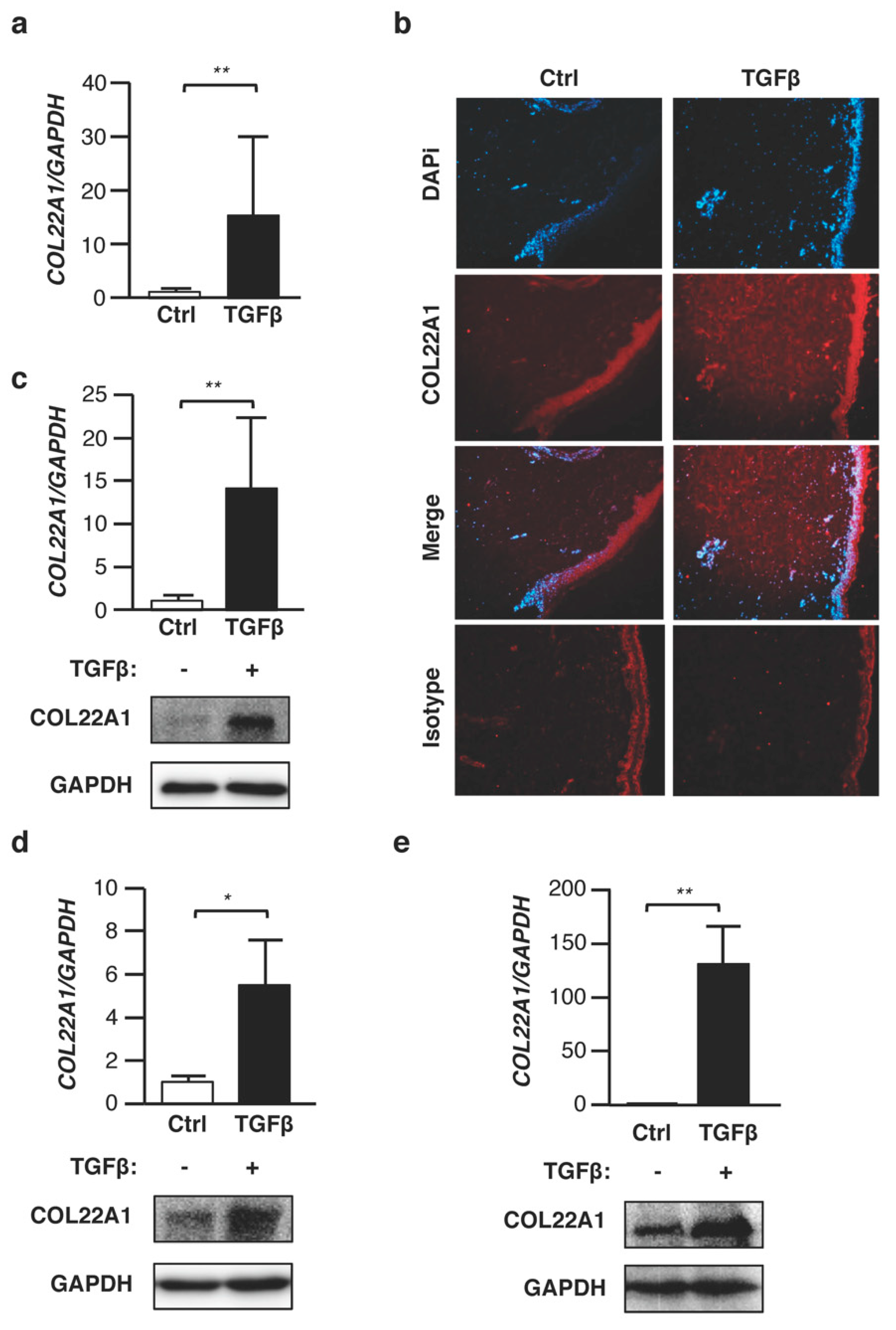 Genes 10 00075 g001