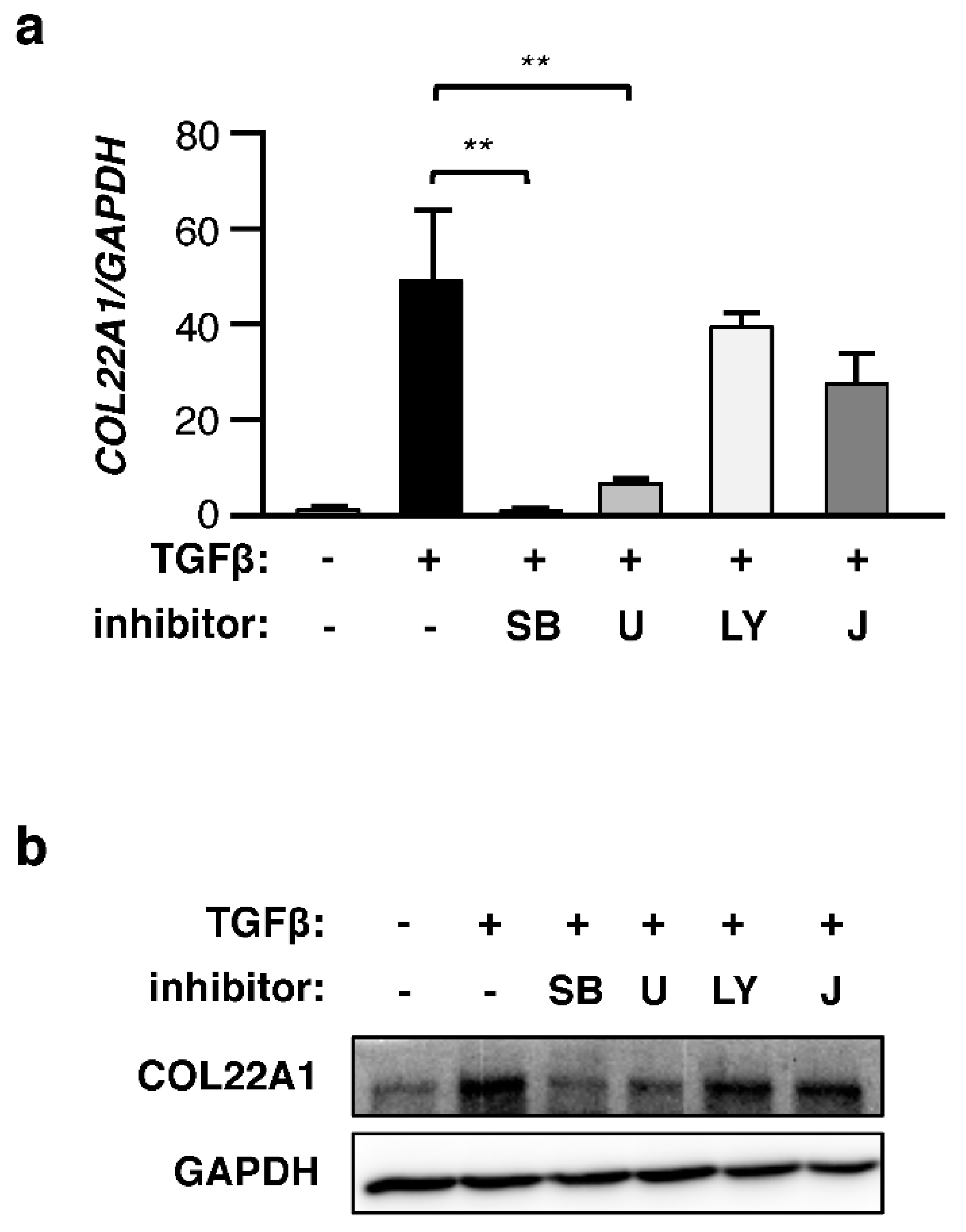 Genes 10 00075 g003