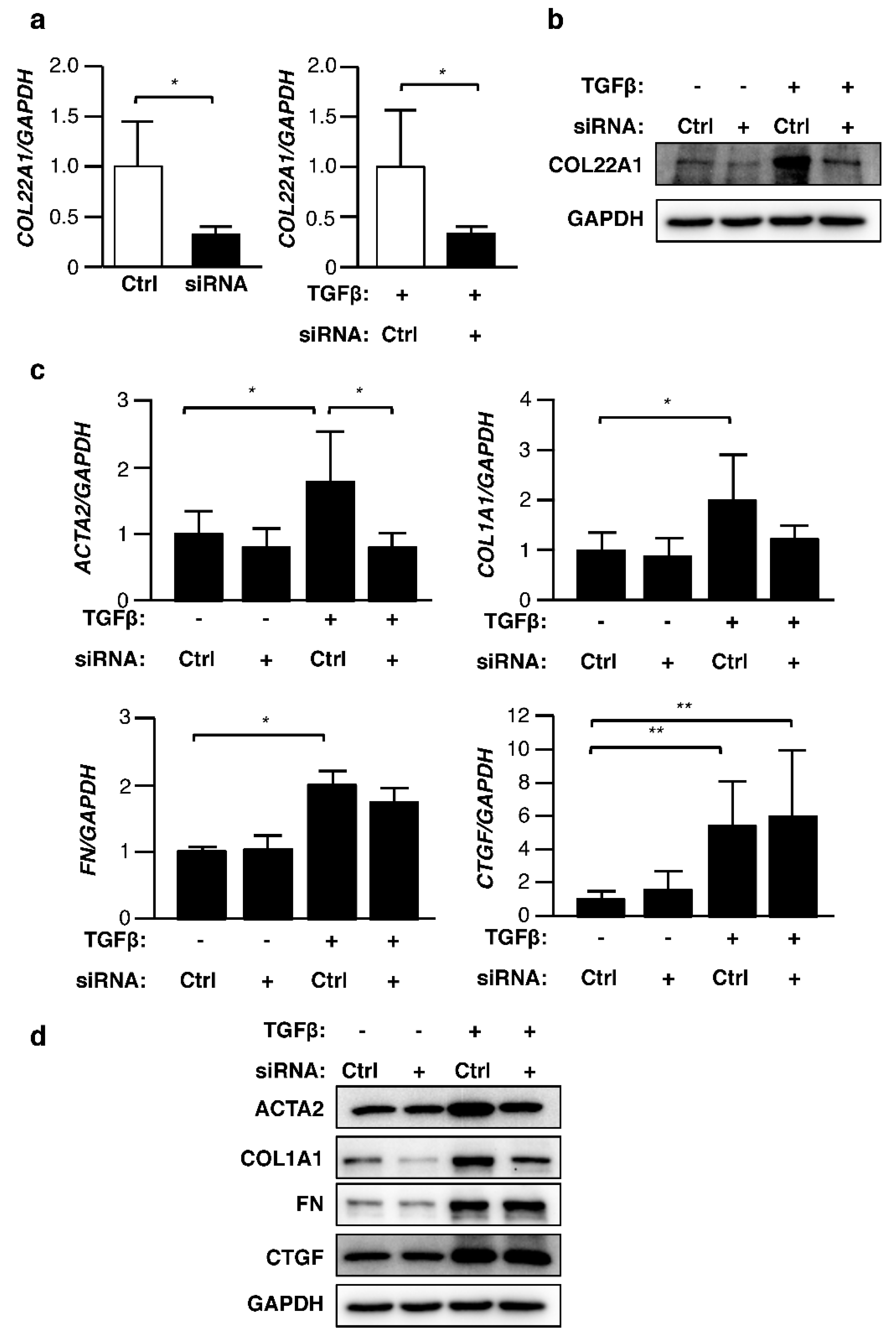 Genes 10 00075 g004