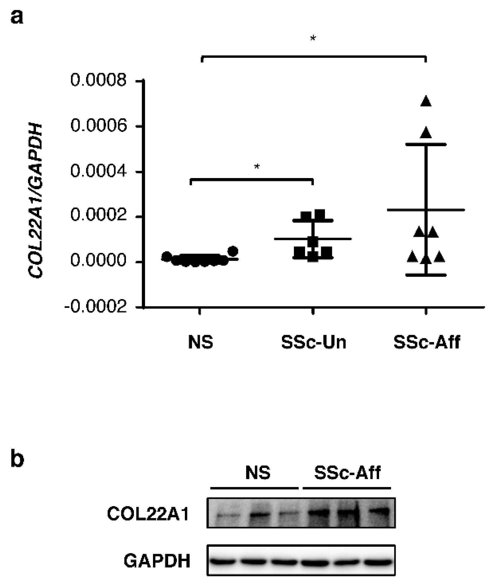 Genes 10 00075 g005