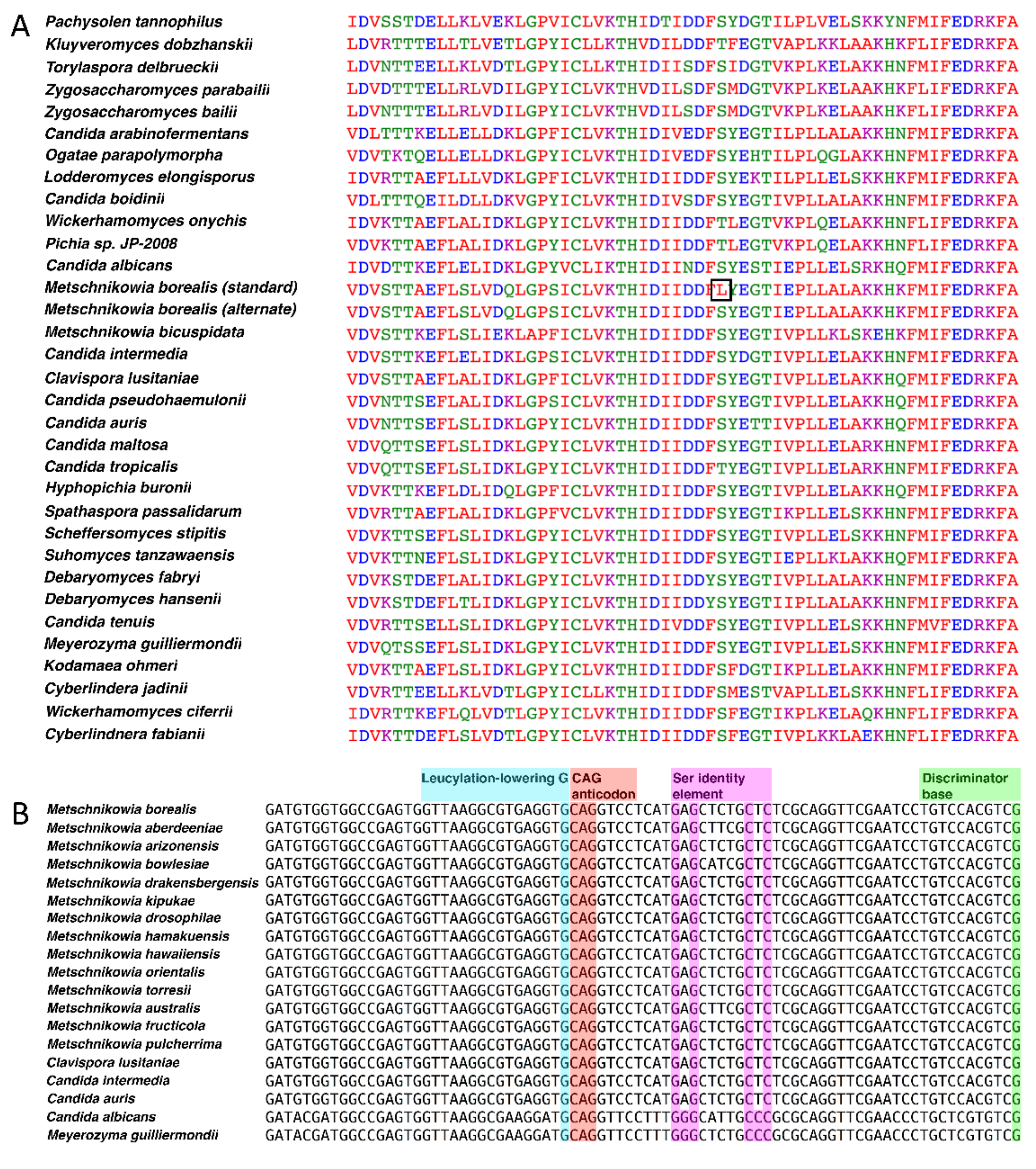 Genes 10 00078 g001 Genes 10 00078 g001