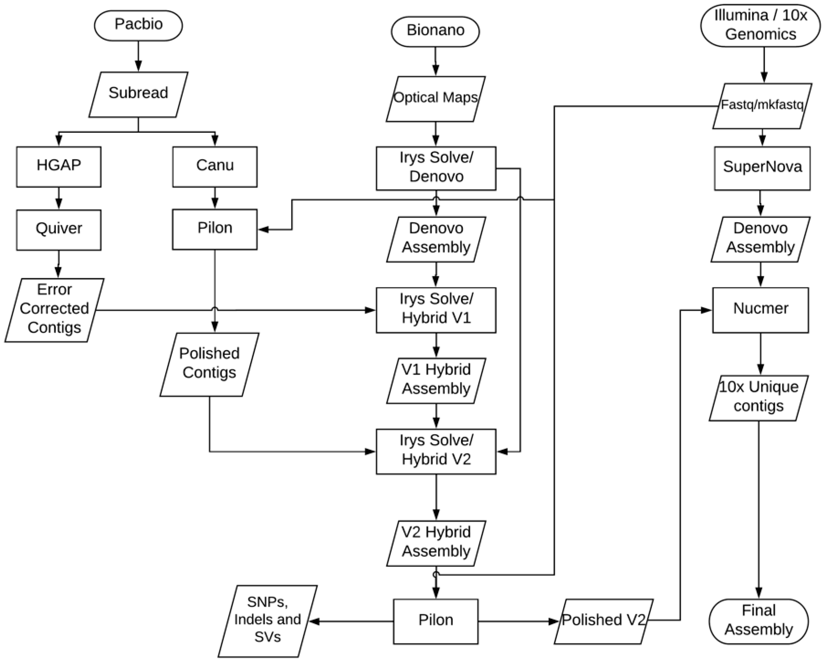 Genes 10 00079 g001