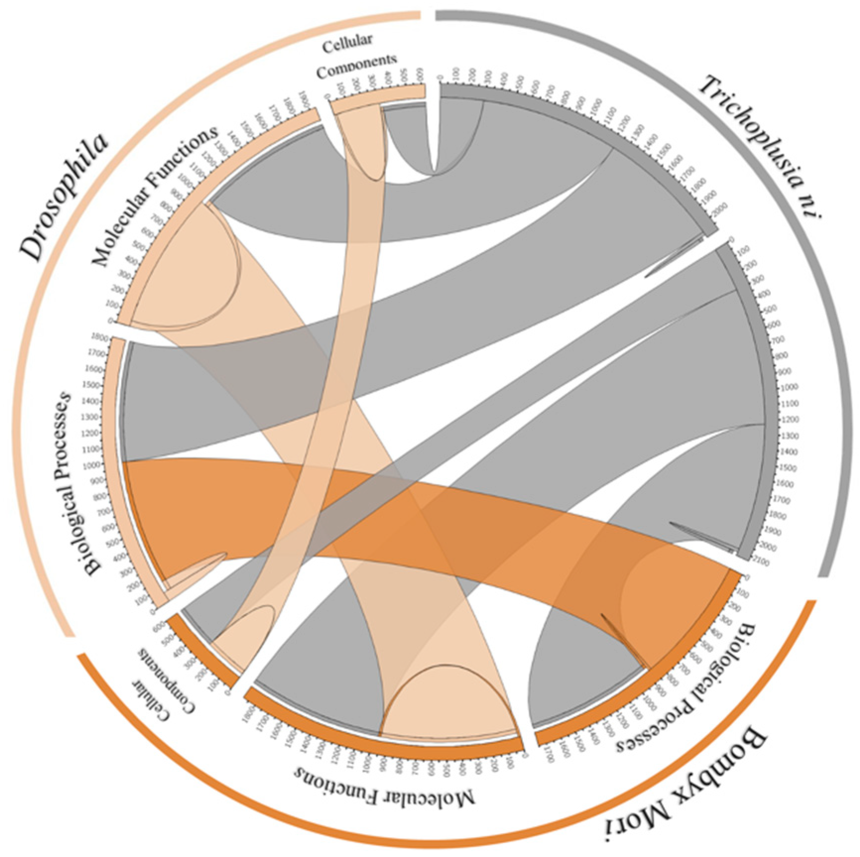 Genes 10 00079 g003