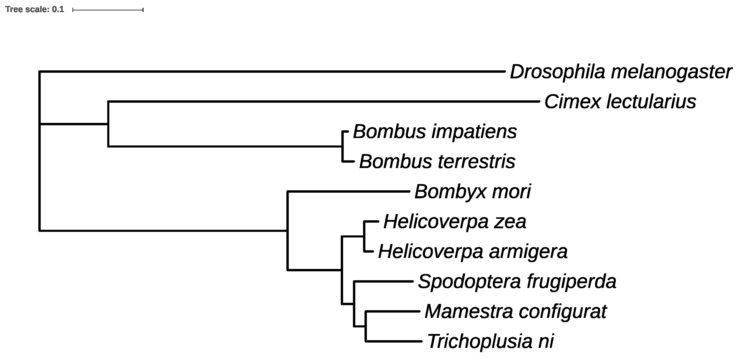 Genes 10 00079 g005