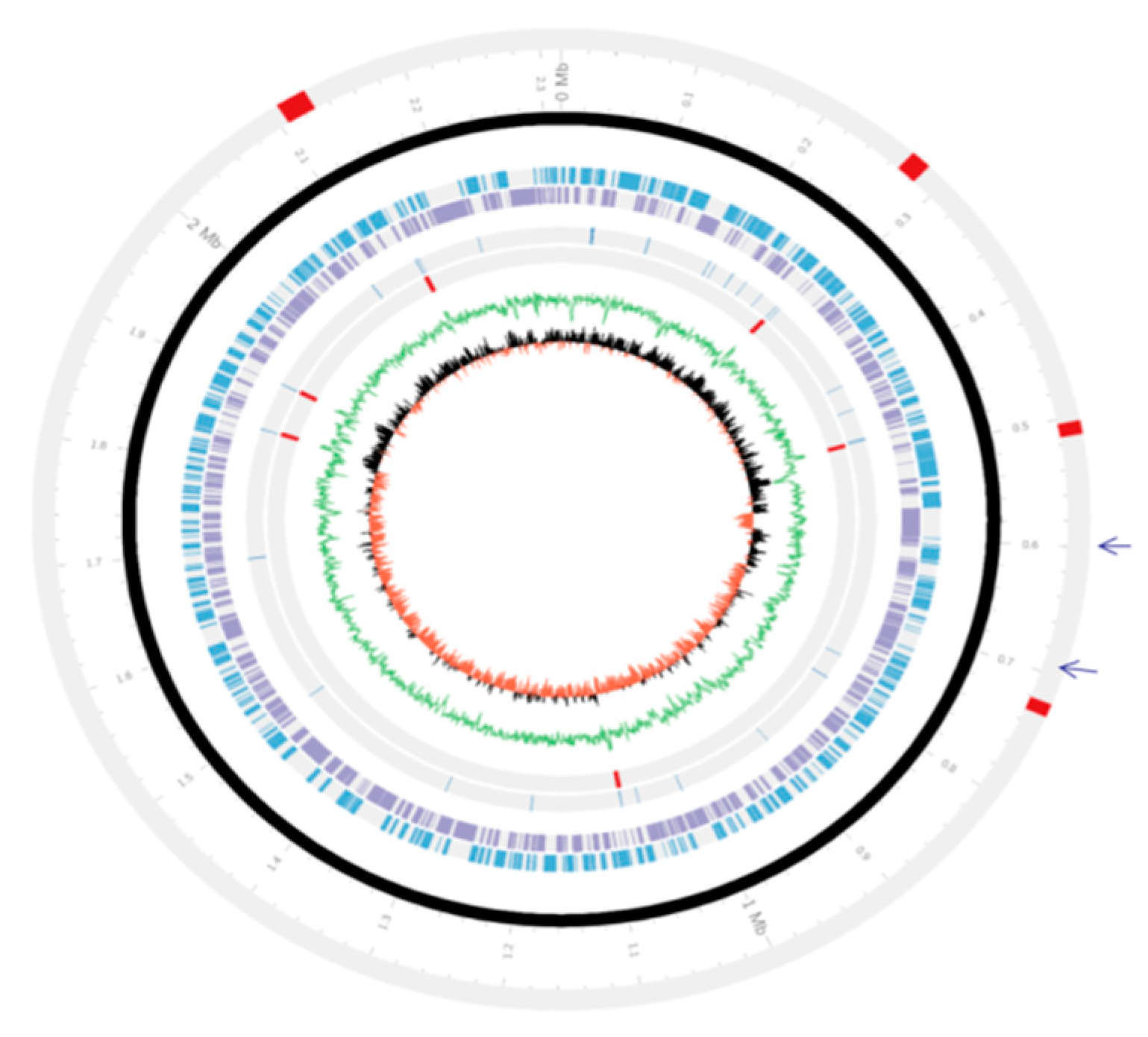 Genes 10 00081 g001