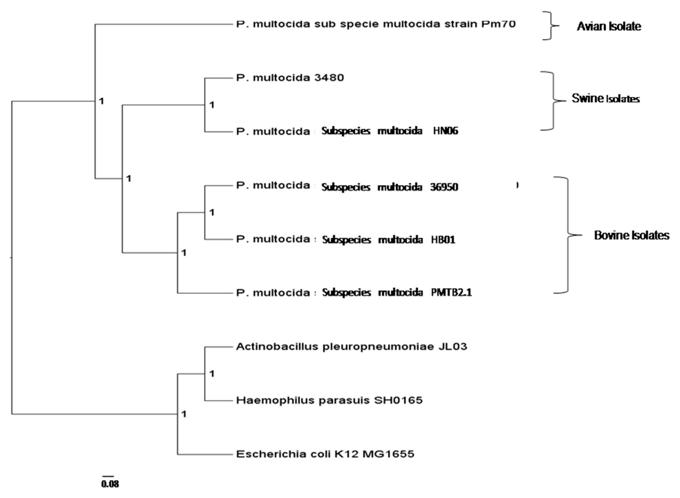 Genes 10 00081 g003