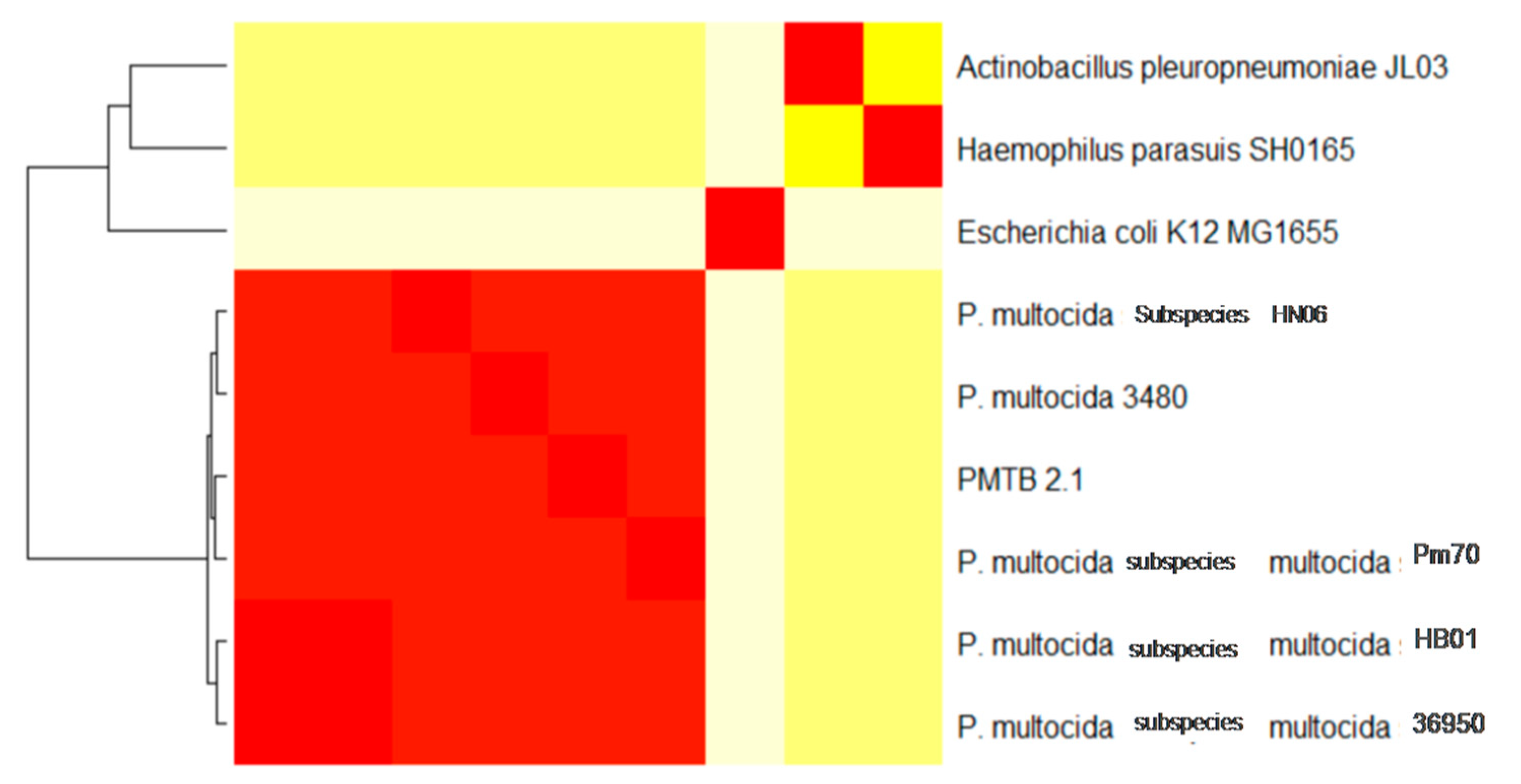 Genes 10 00081 g006