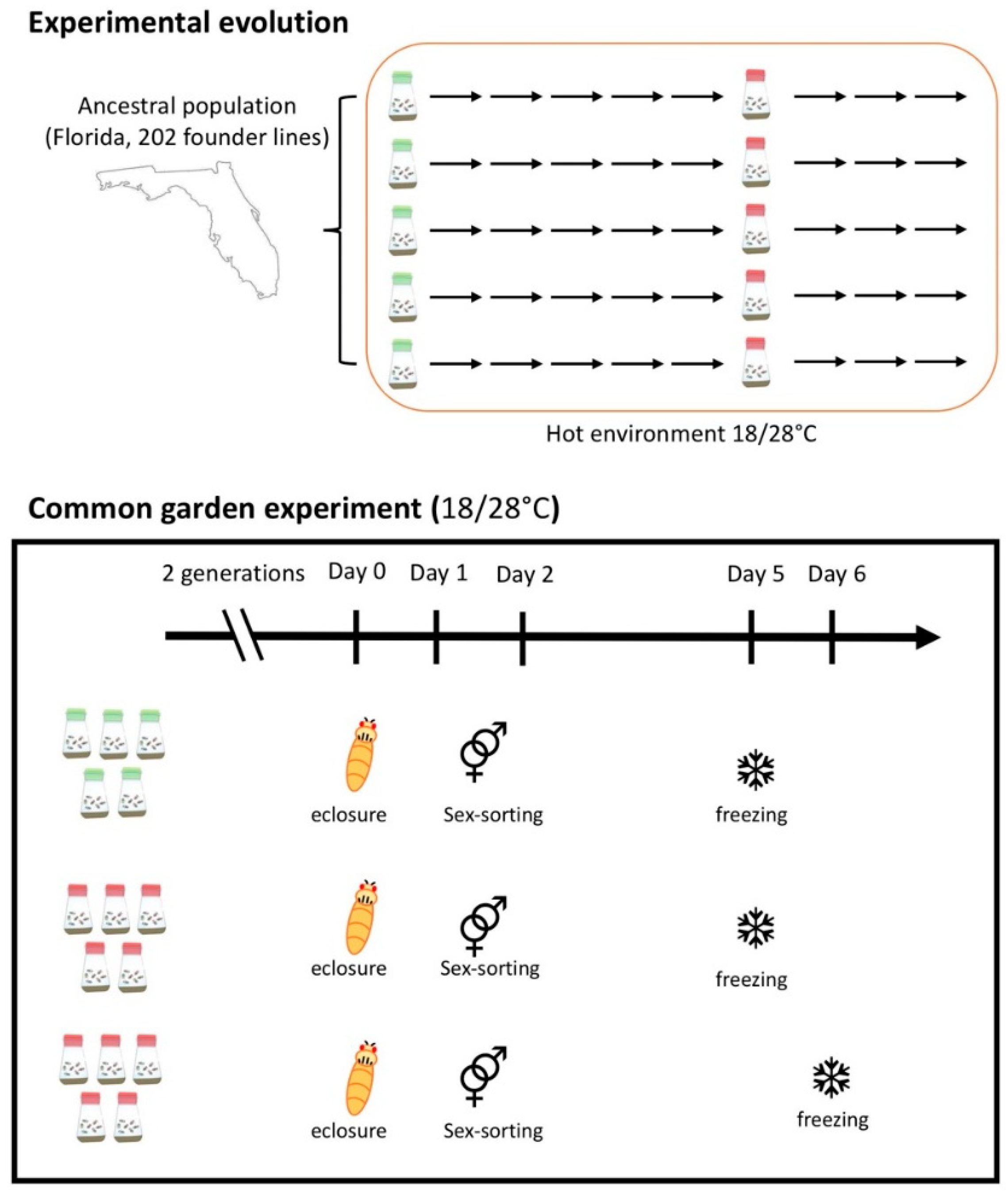 Genes 10 00089 g001 Genes 10 00089 g001