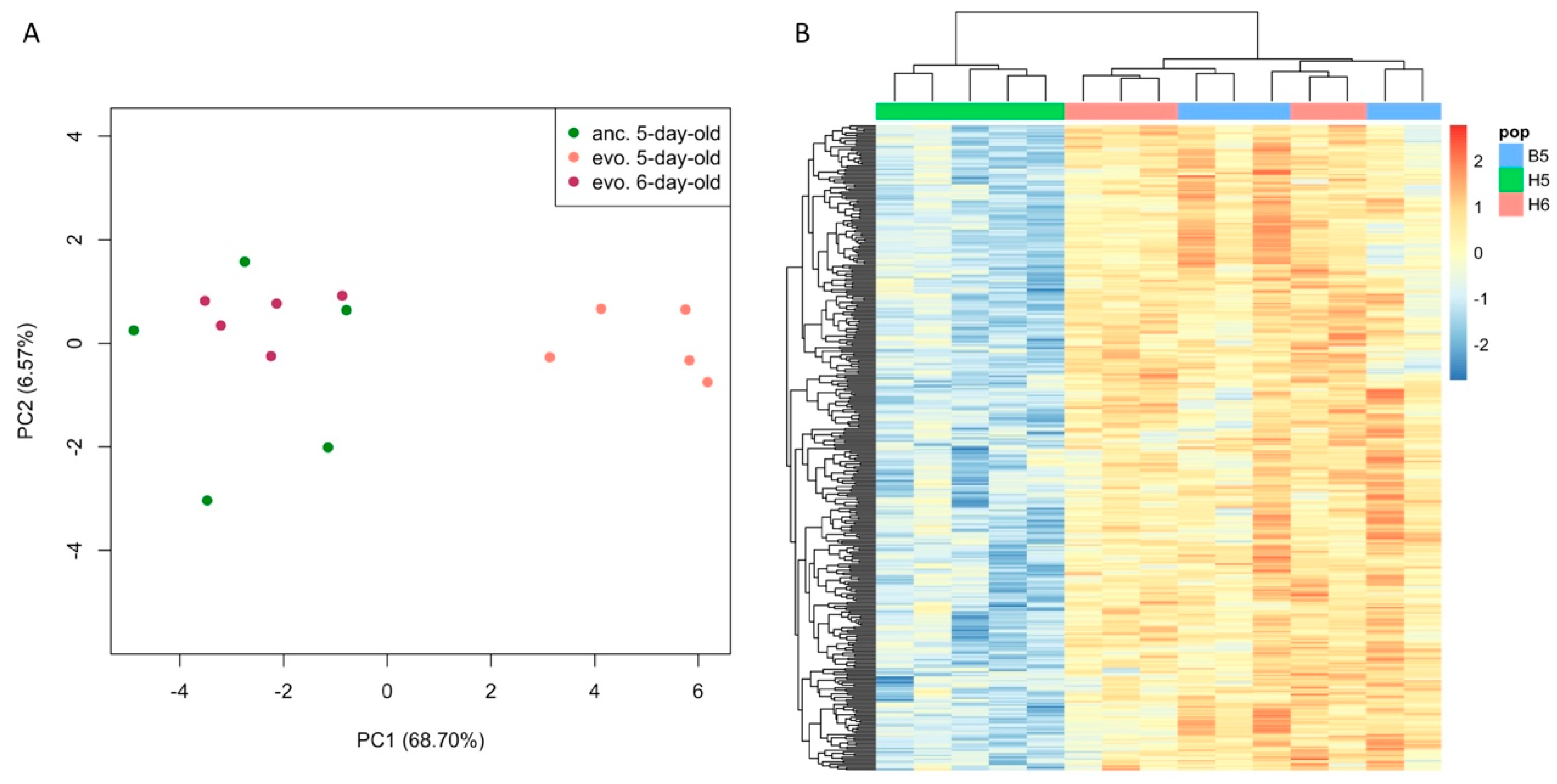 Genes 10 00089 g005 Genes 10 00089 g005