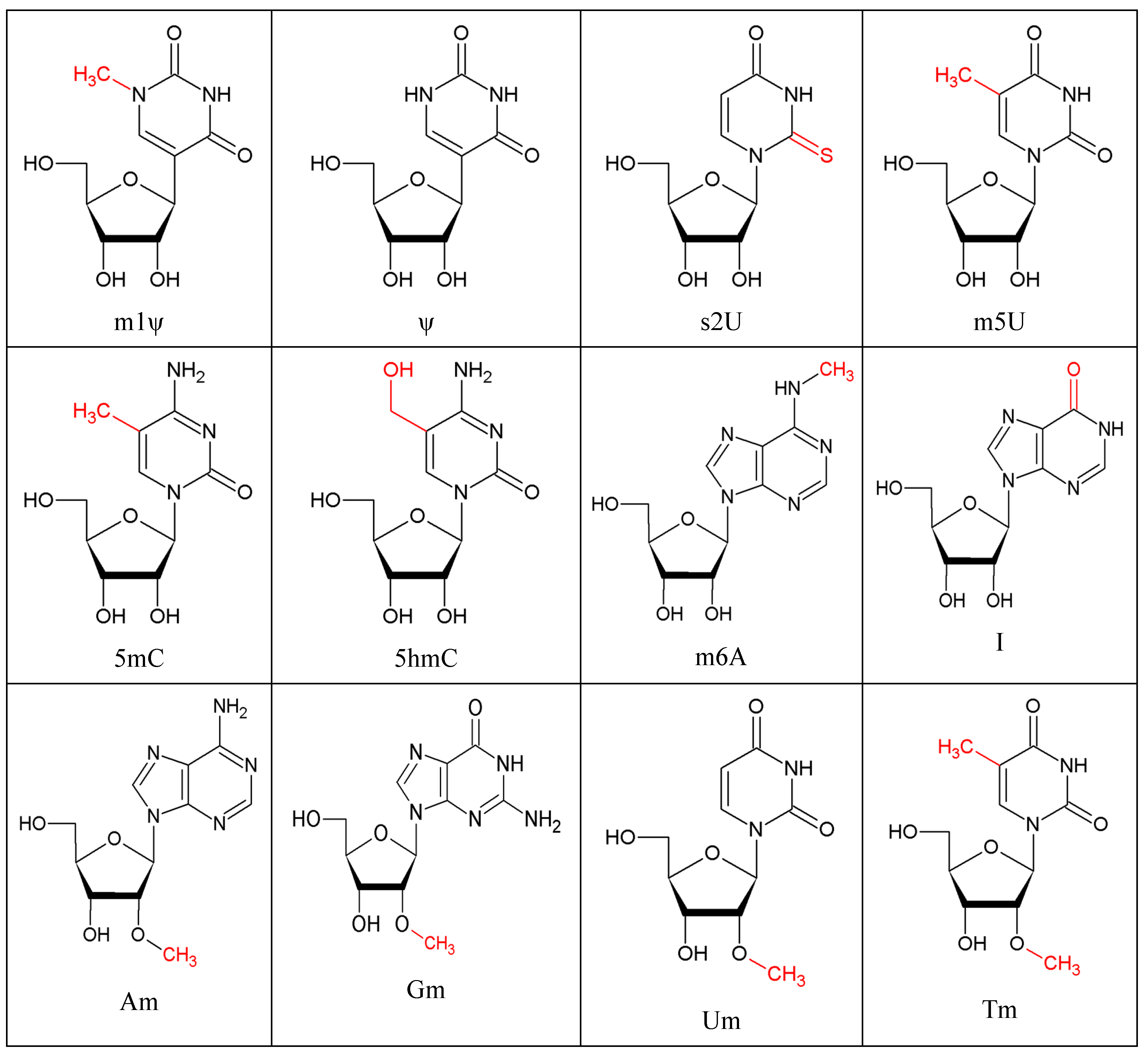 Genes 10 00092 g001 Genes 10 00092 g001