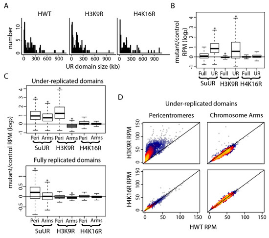Special Issue : DNA Replication Timing: Where, When, How and Why? Biology Diagrams