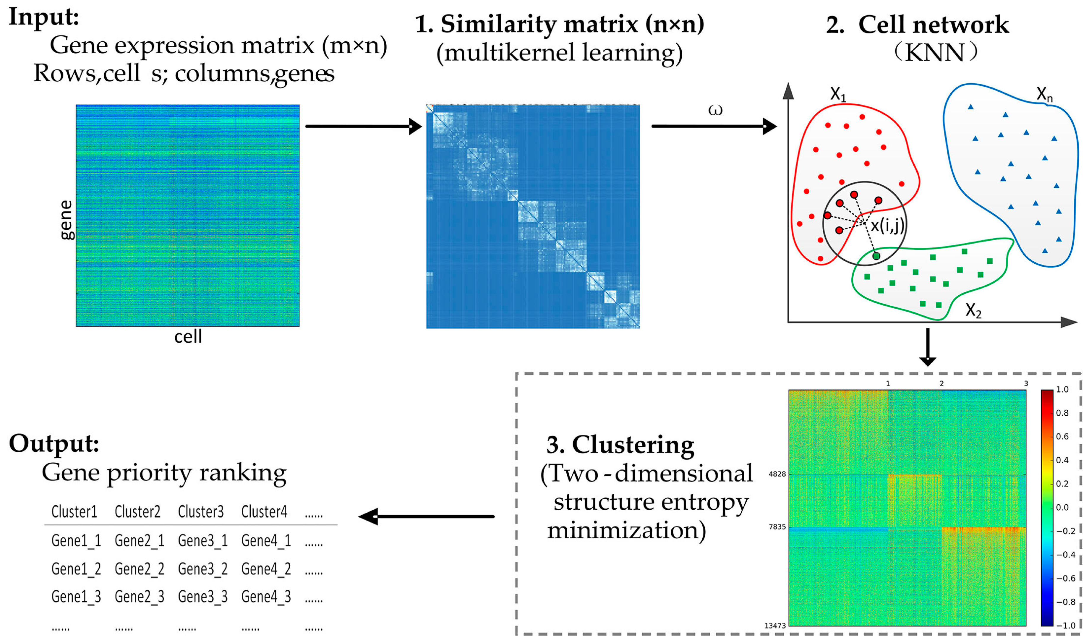 Genes 10 00098 g001 Genes 10 00098 g001