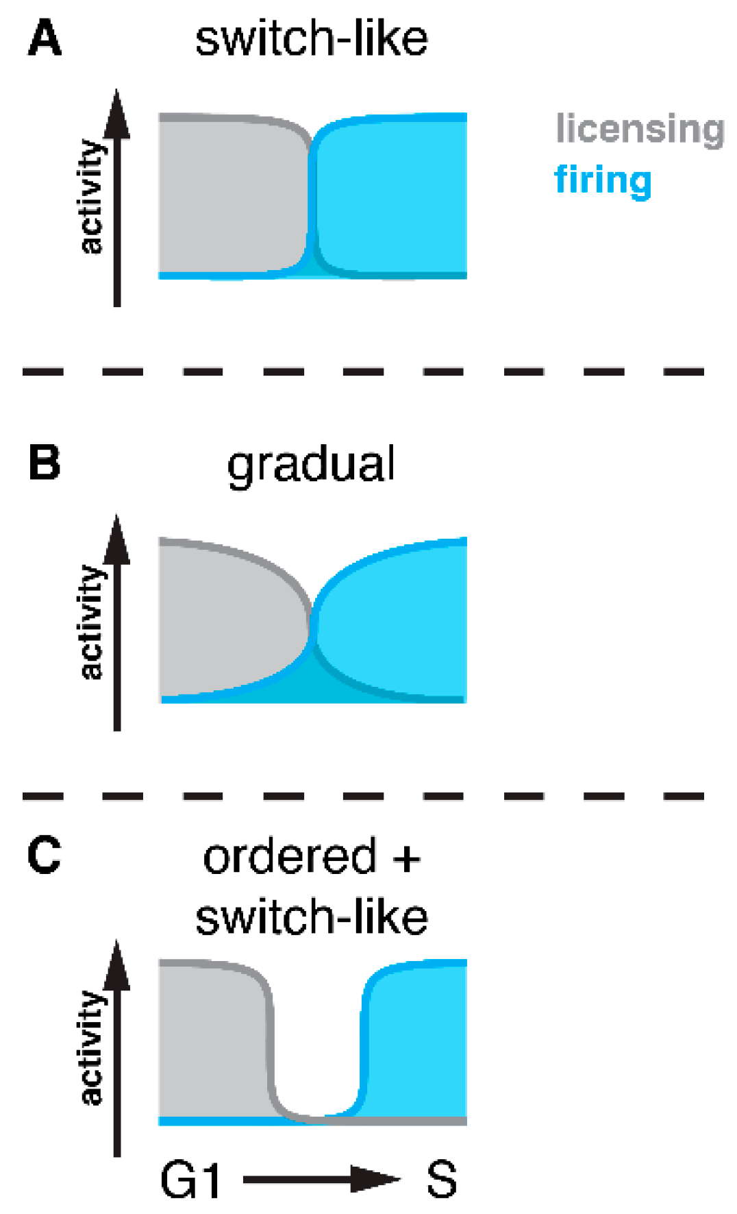 Genes 10 00099 g002 Genes 10 00099 g002