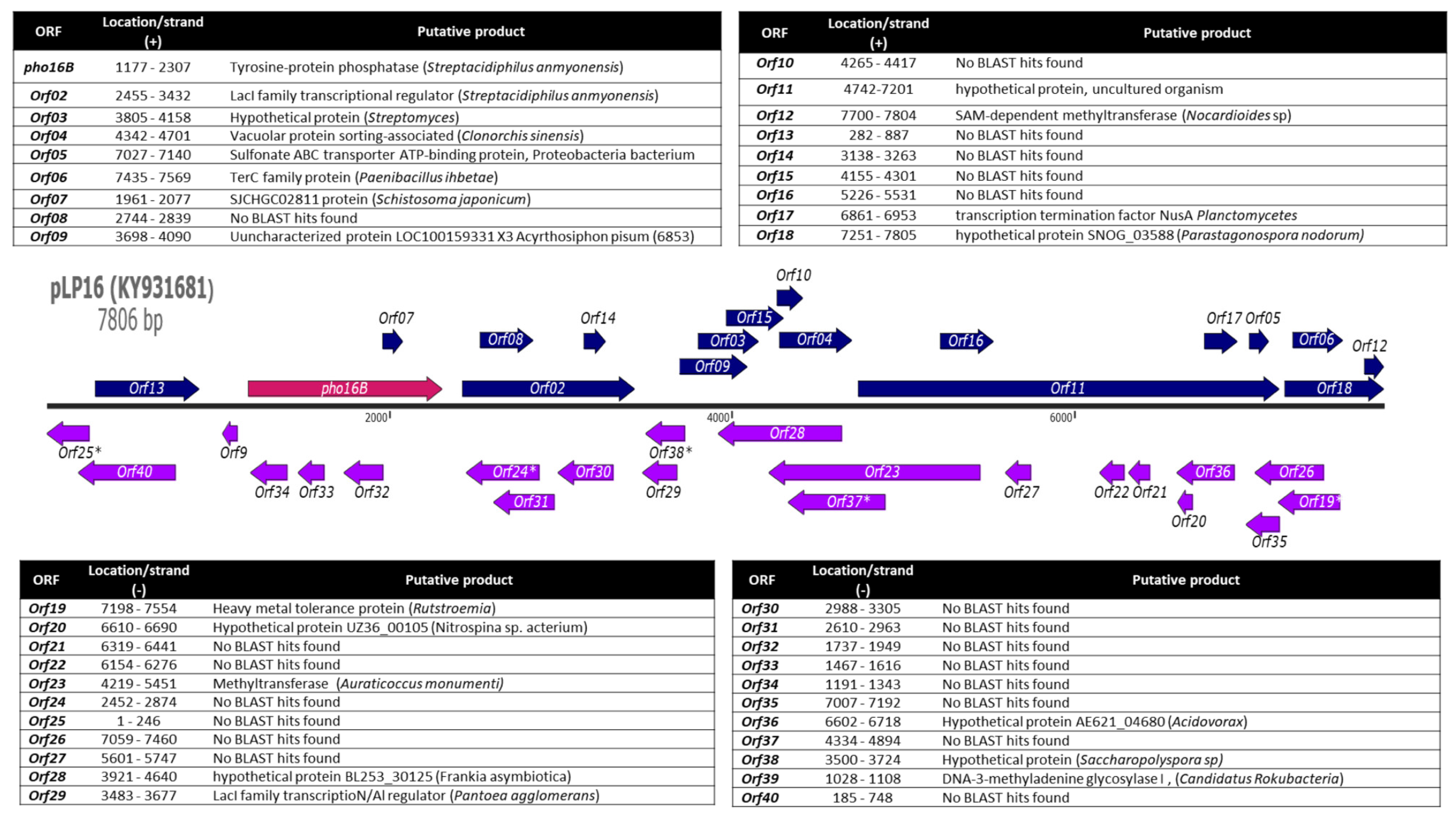 Genes 10 00101 g001