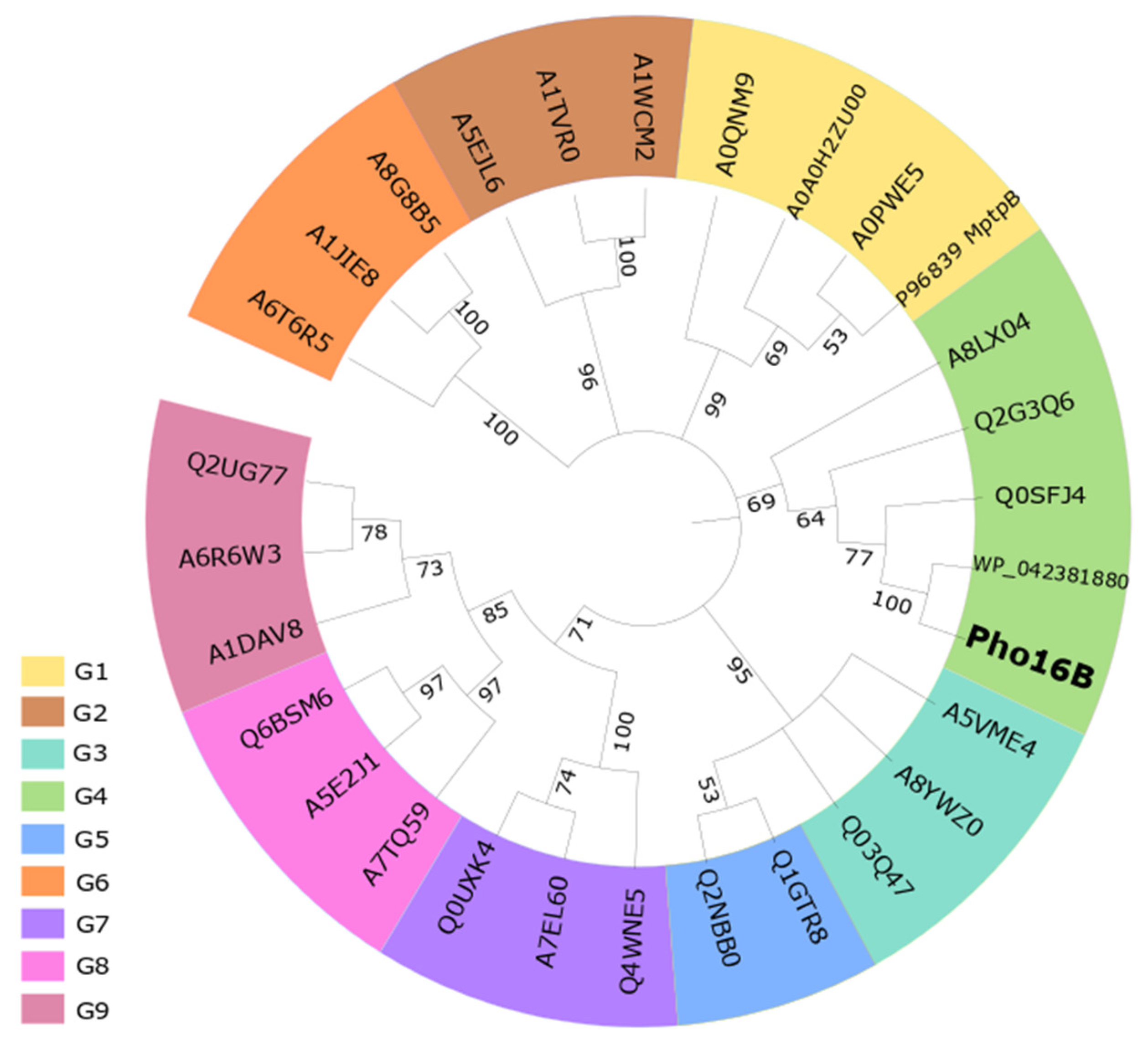 Genes 10 00101 g003