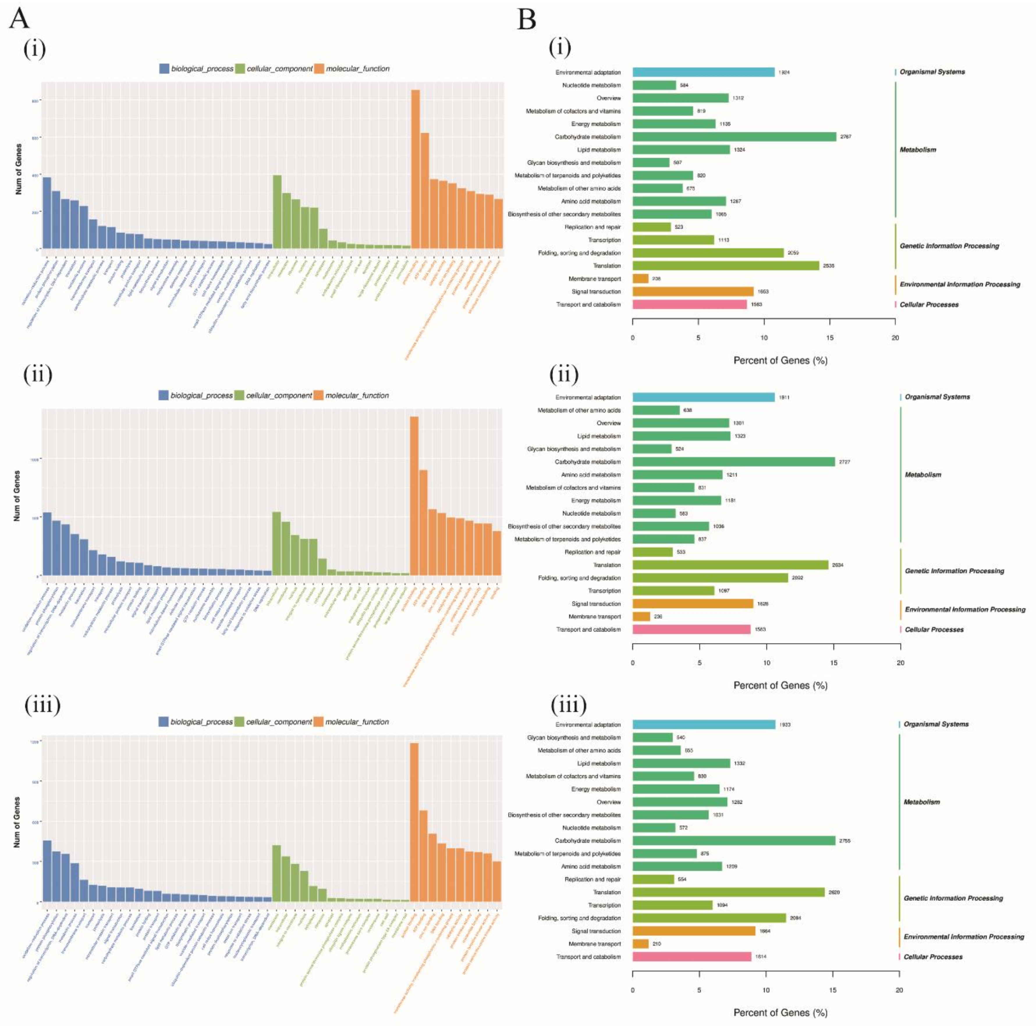 Genes 10 00110 g004 Genes 10 00110 g004