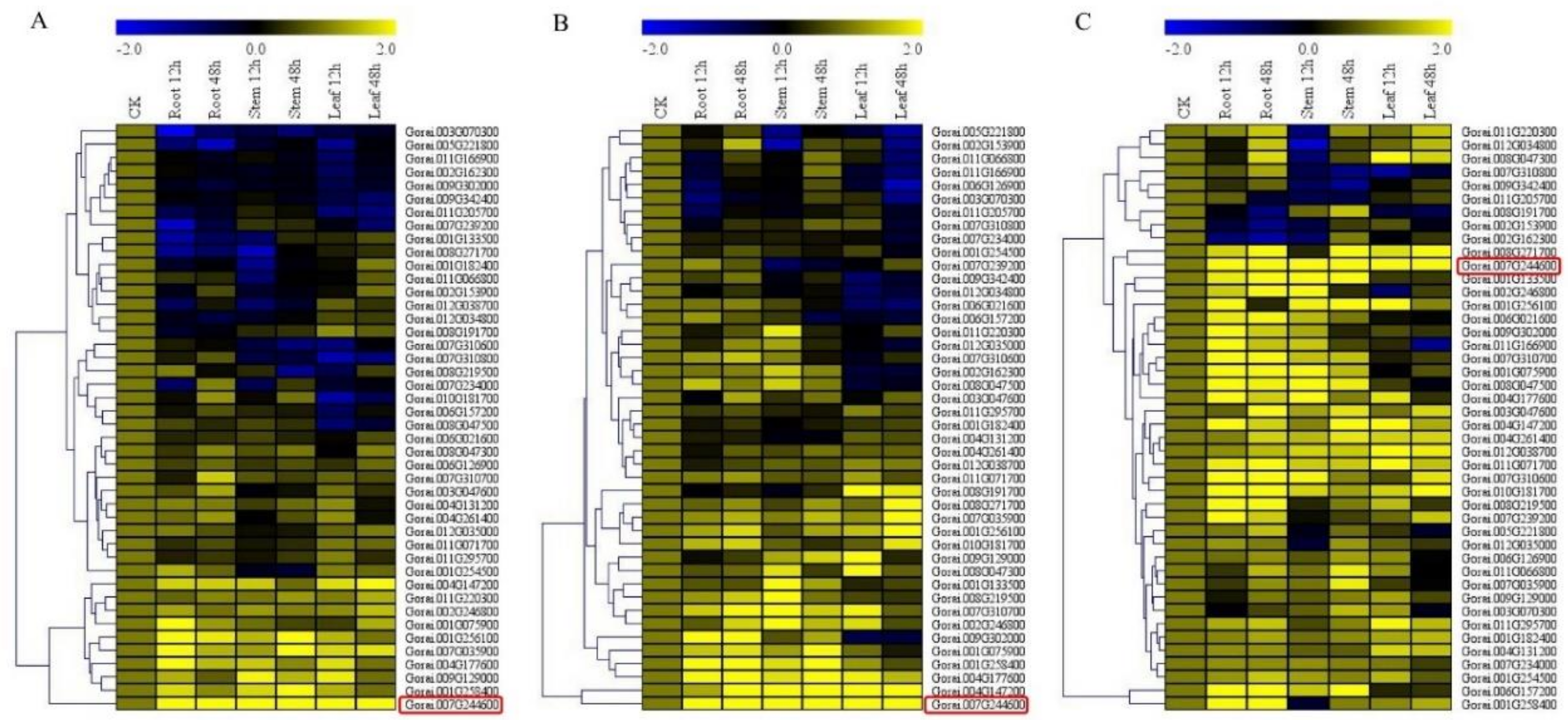 Genes 10 00110 g006 Genes 10 00110 g006