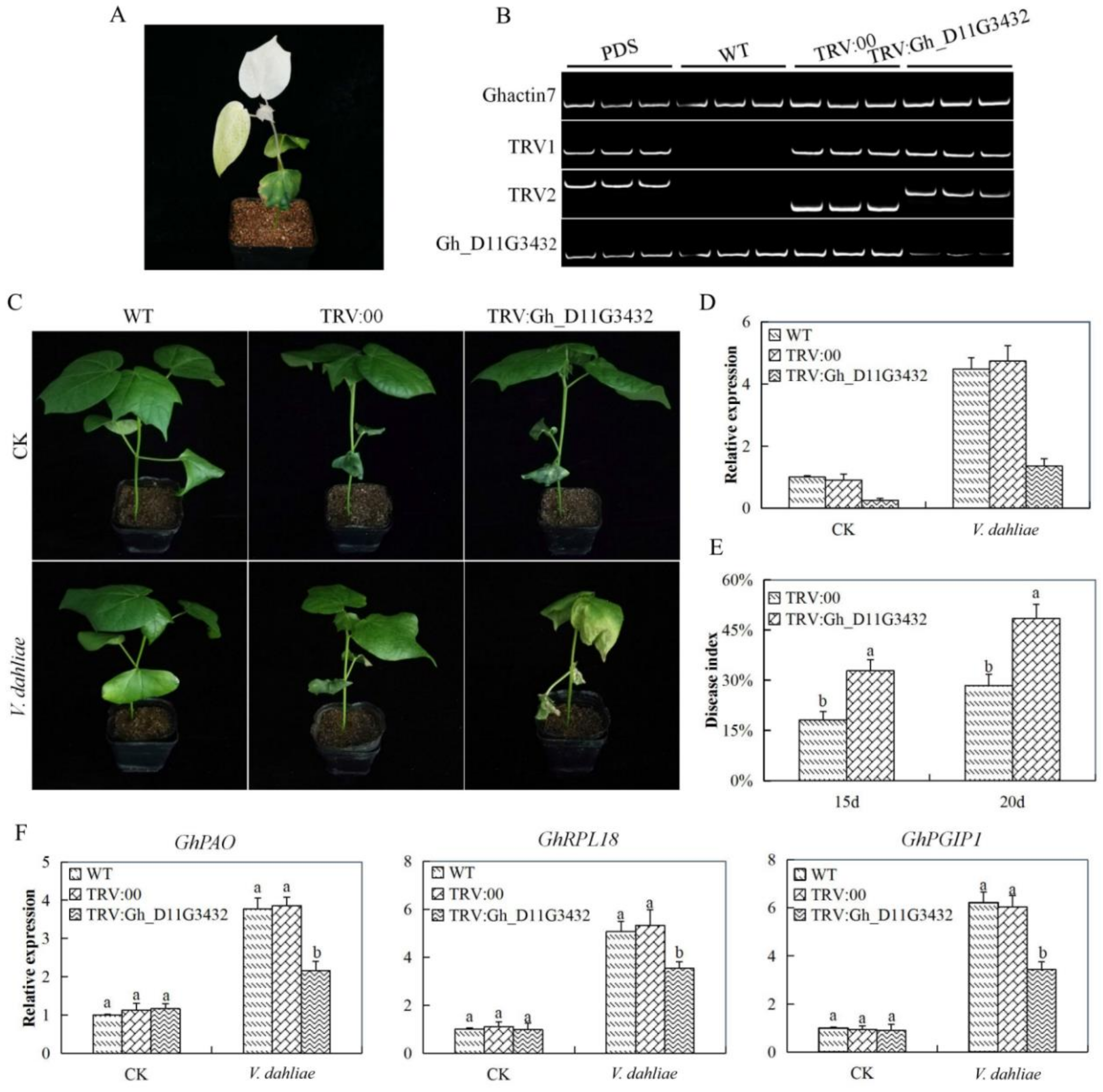 Genes 10 00110 g007 Genes 10 00110 g007
