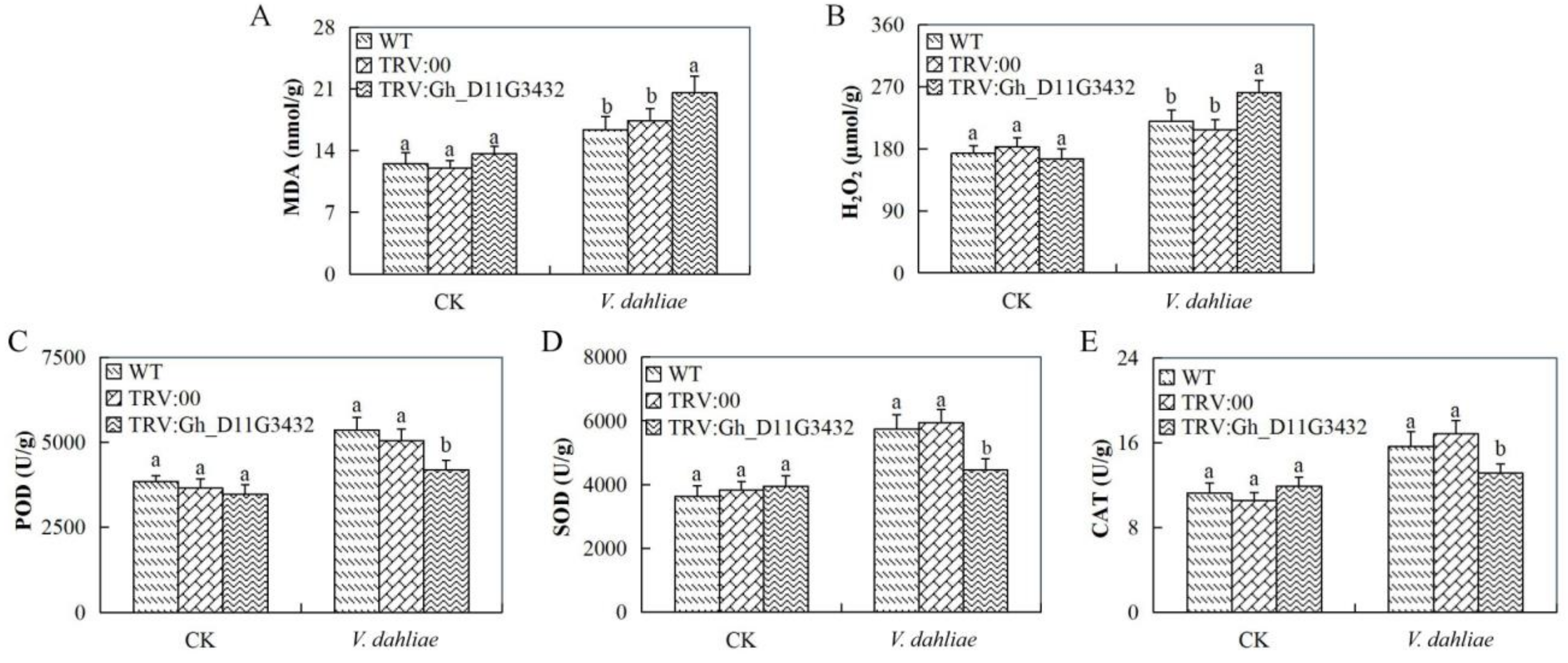 Genes 10 00110 g008 Genes 10 00110 g008