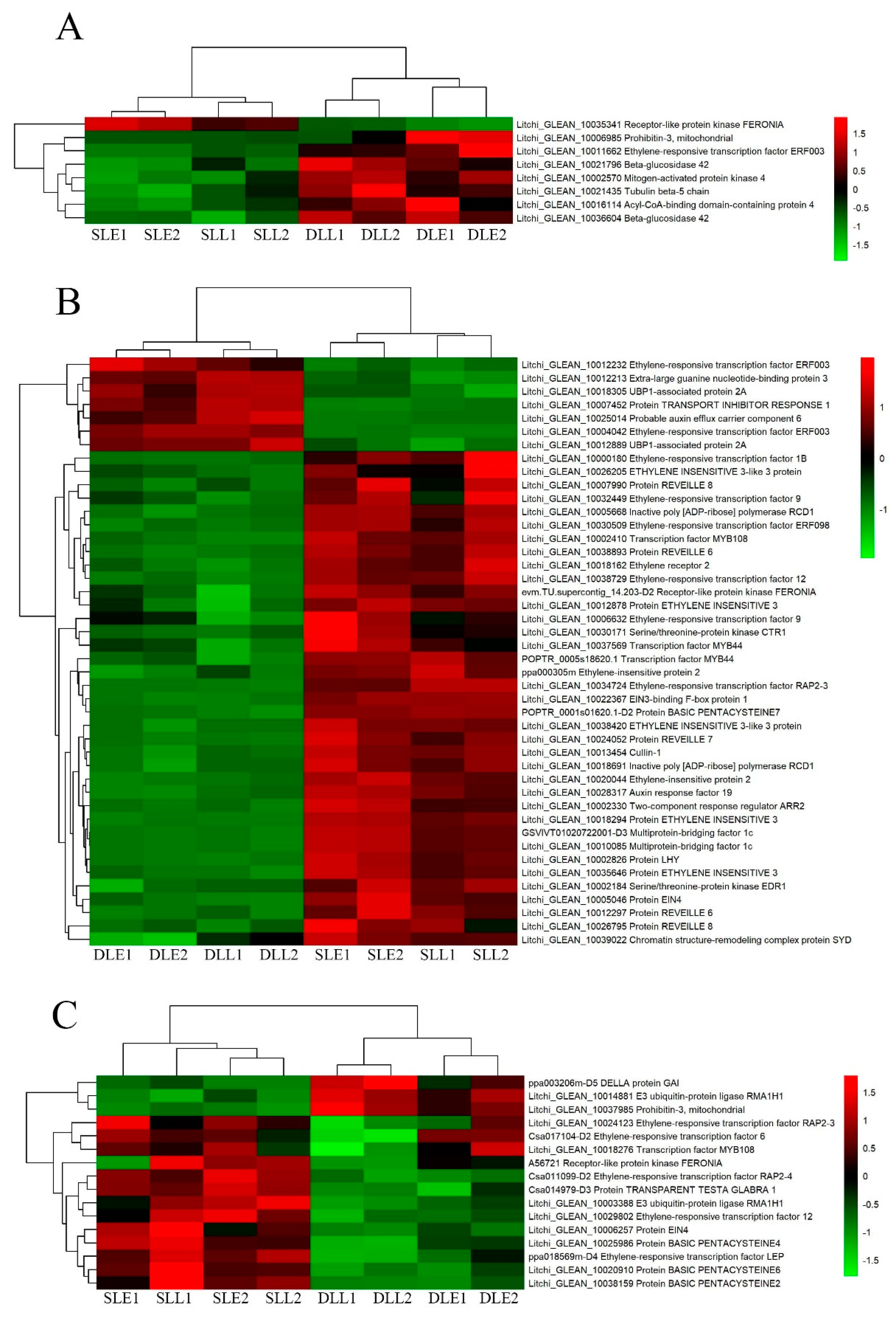 Genes 10 00111 g003 Genes 10 00111 g003