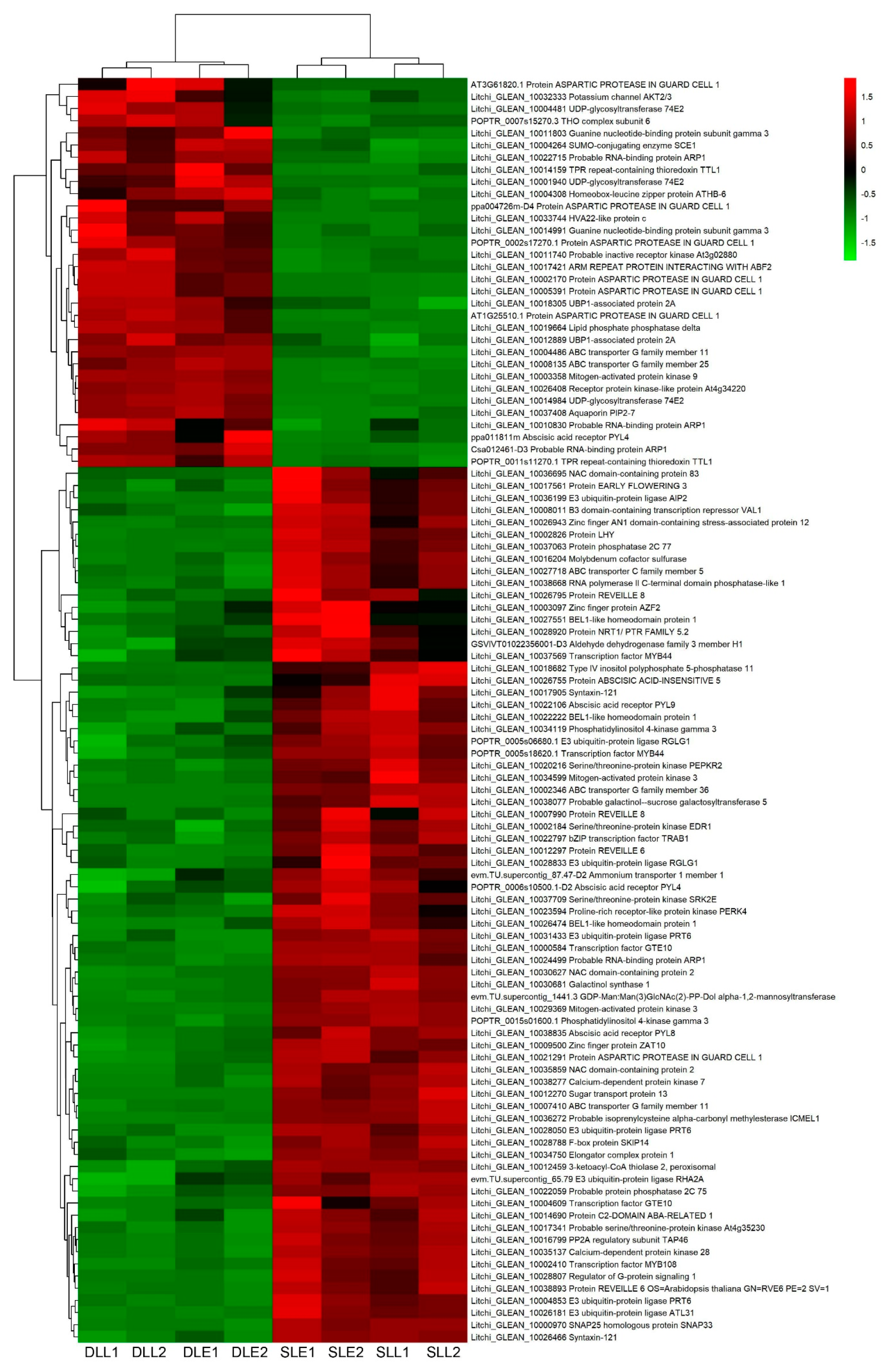 Genes 10 00111 g005 Genes 10 00111 g005
