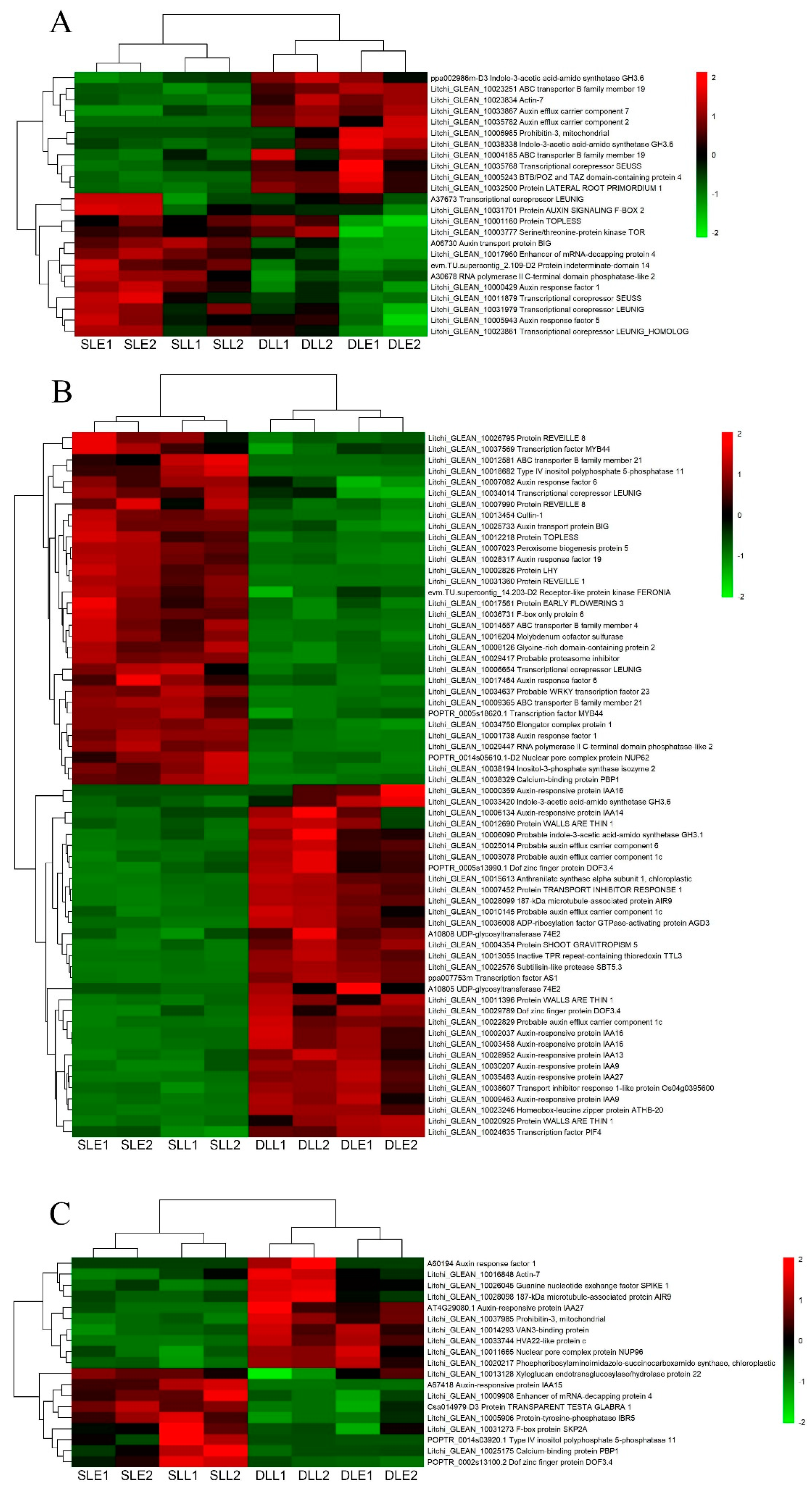Genes 10 00111 g006 Genes 10 00111 g006