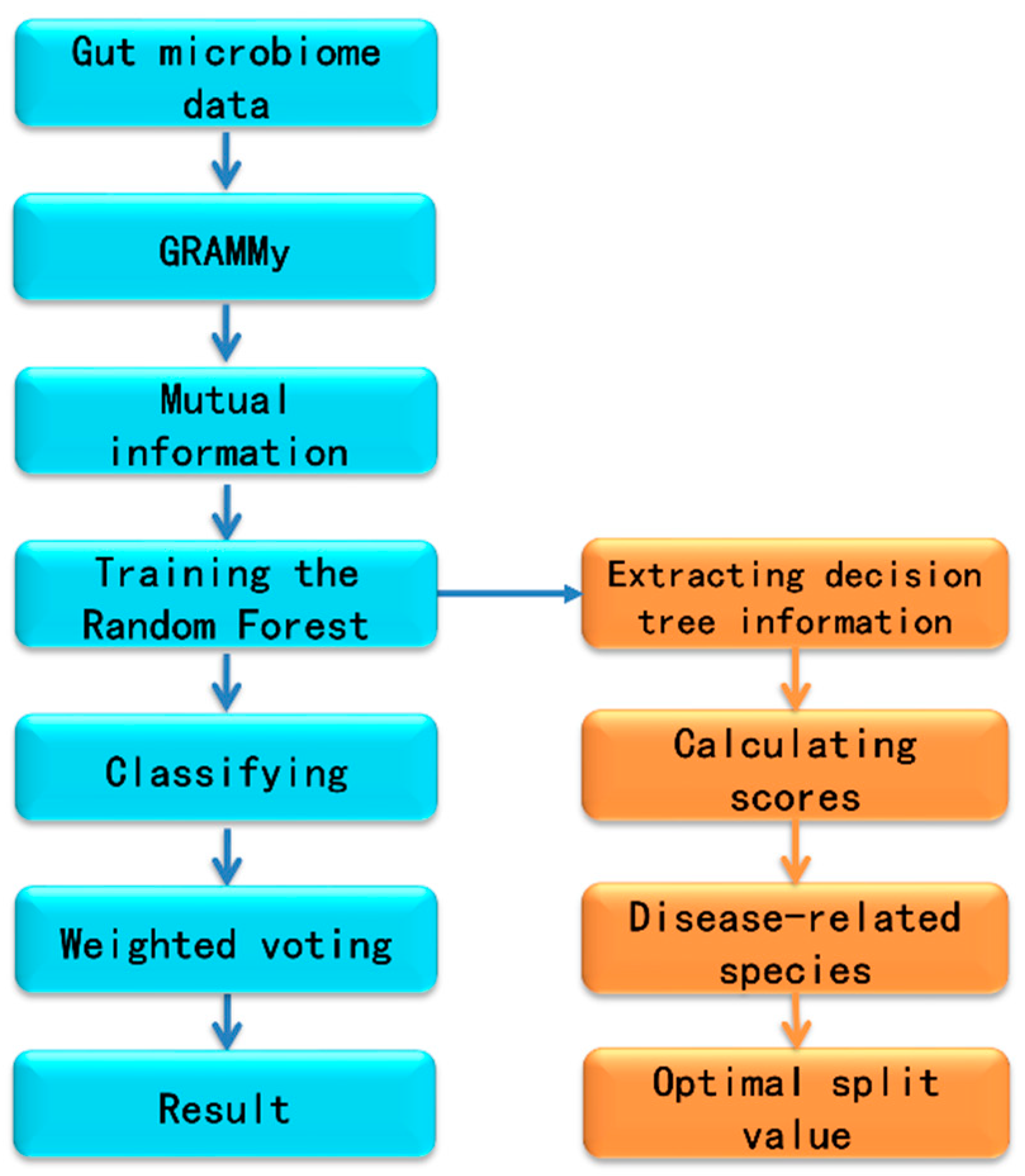 Genes 10 00112 g001 550
