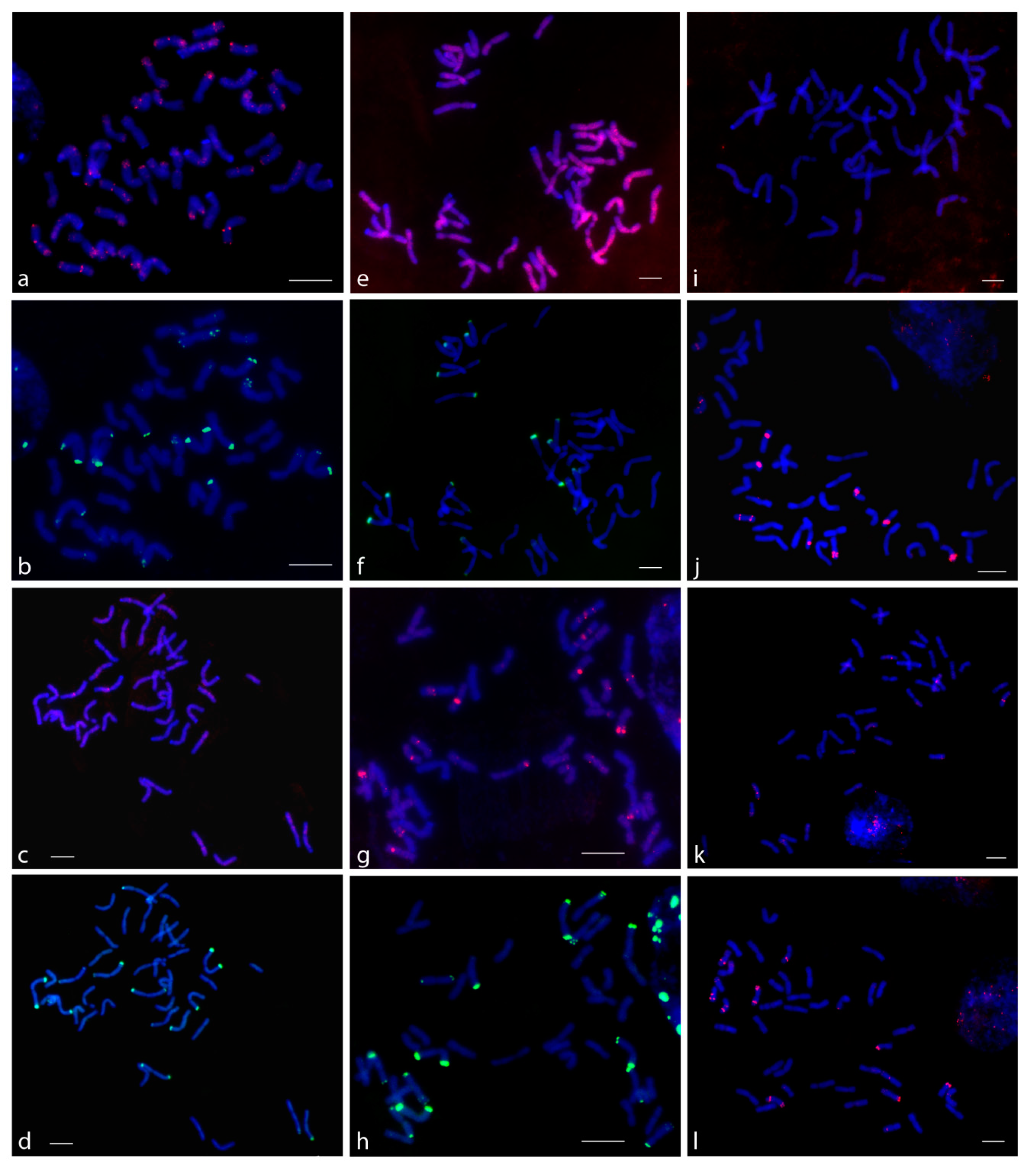 Genes 10 00113 g002 550