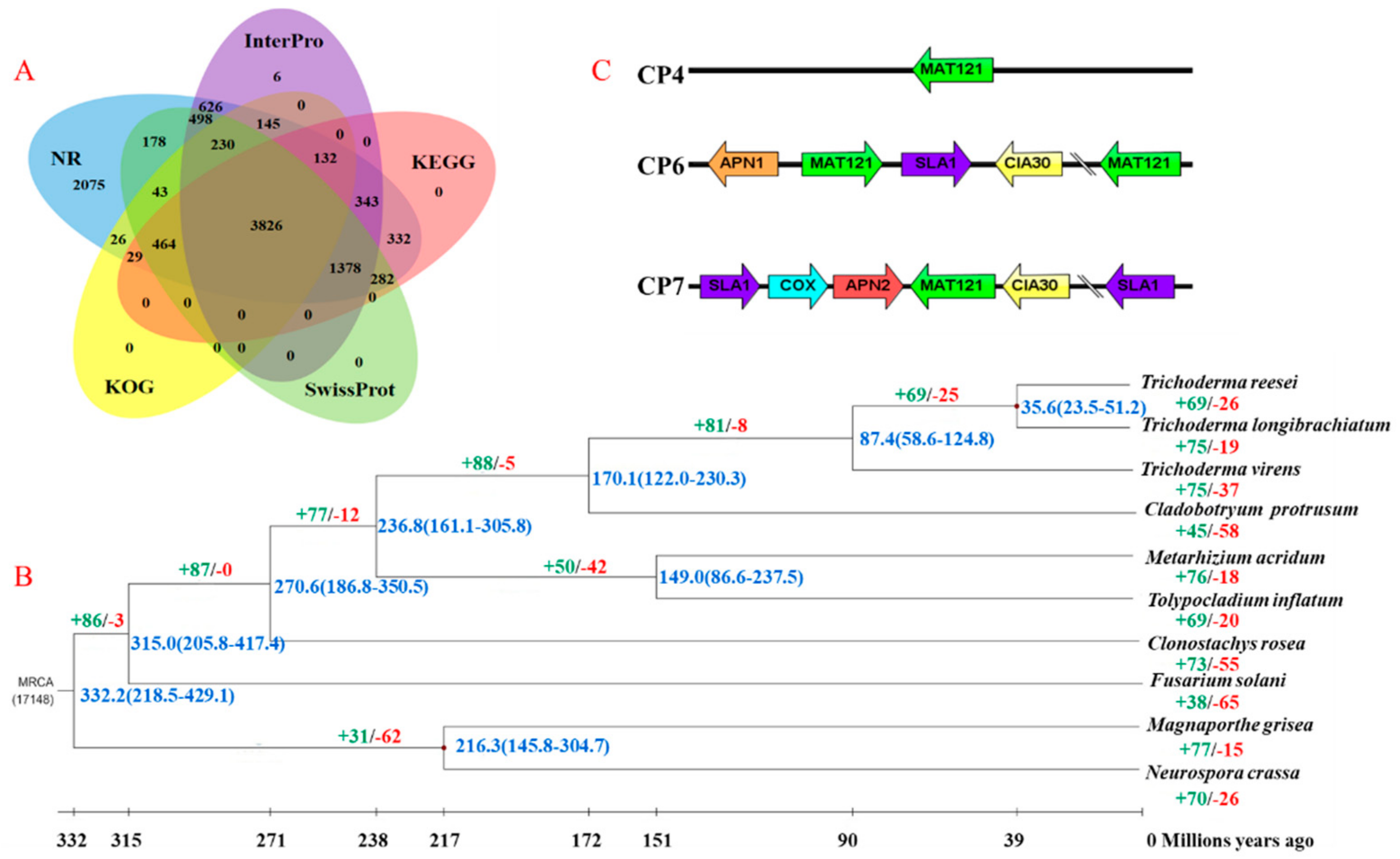 Genes 10 00124 g001 Genes 10 00124 g001