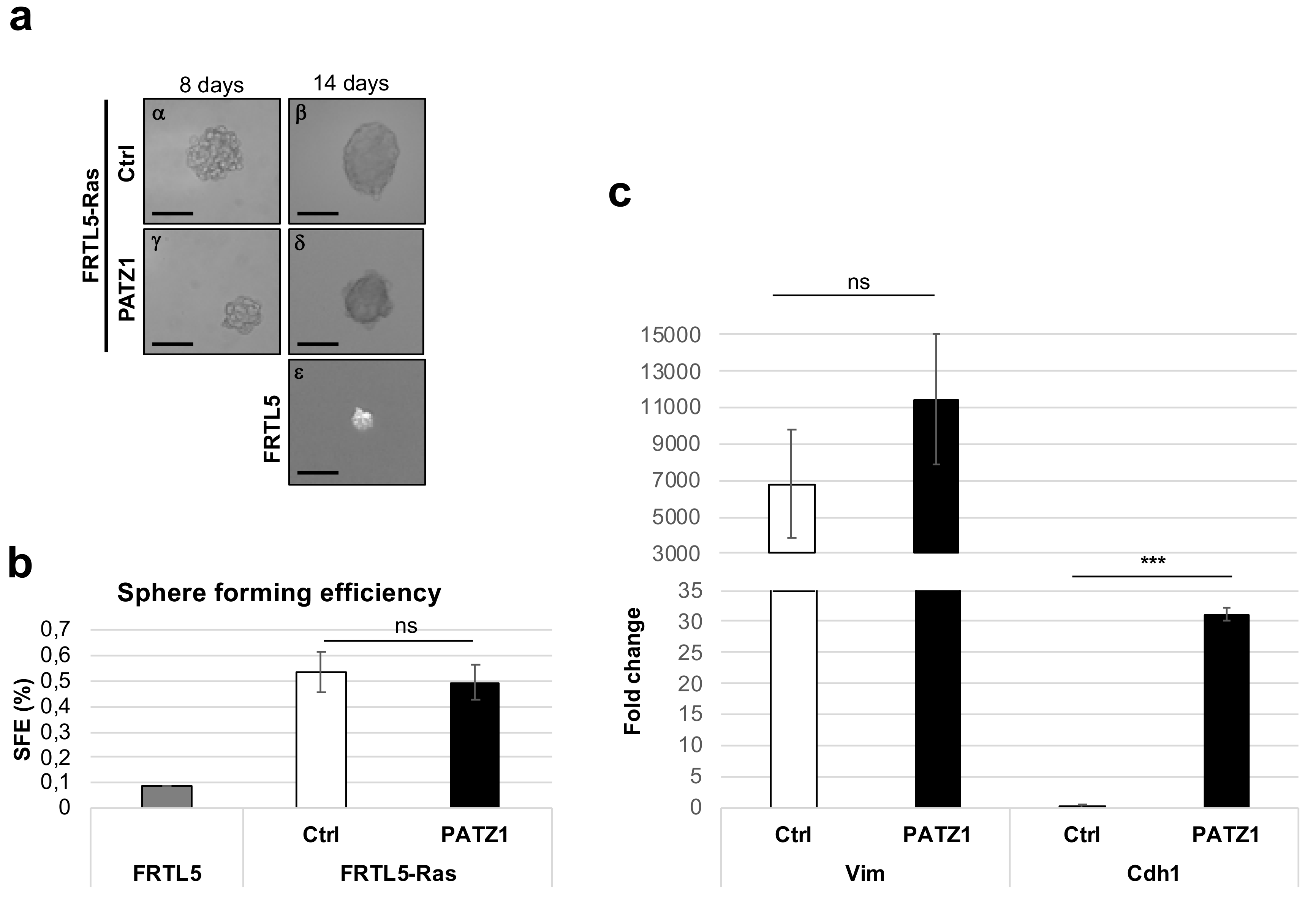 Genes 10 00127 g002