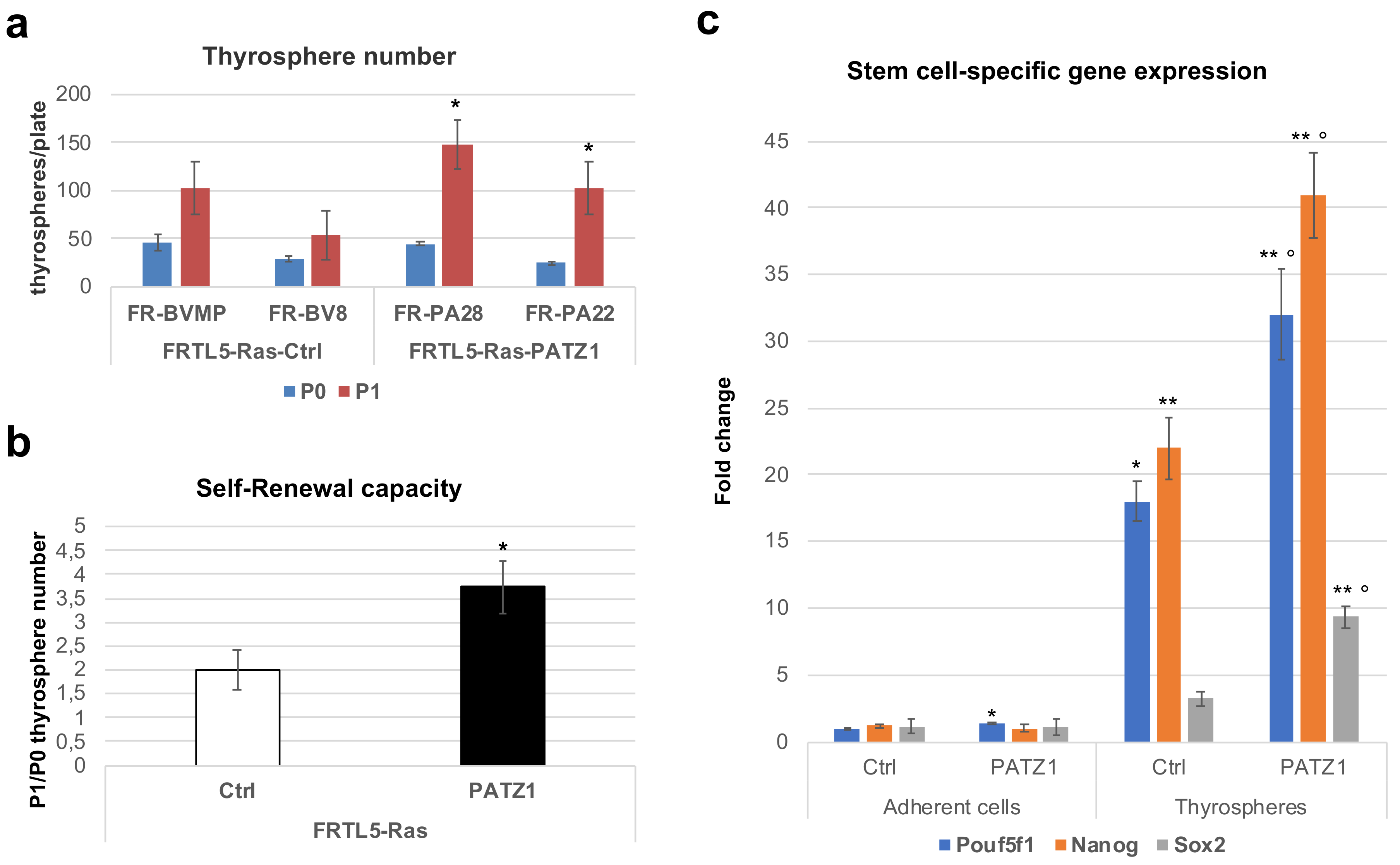 Genes 10 00127 g003
