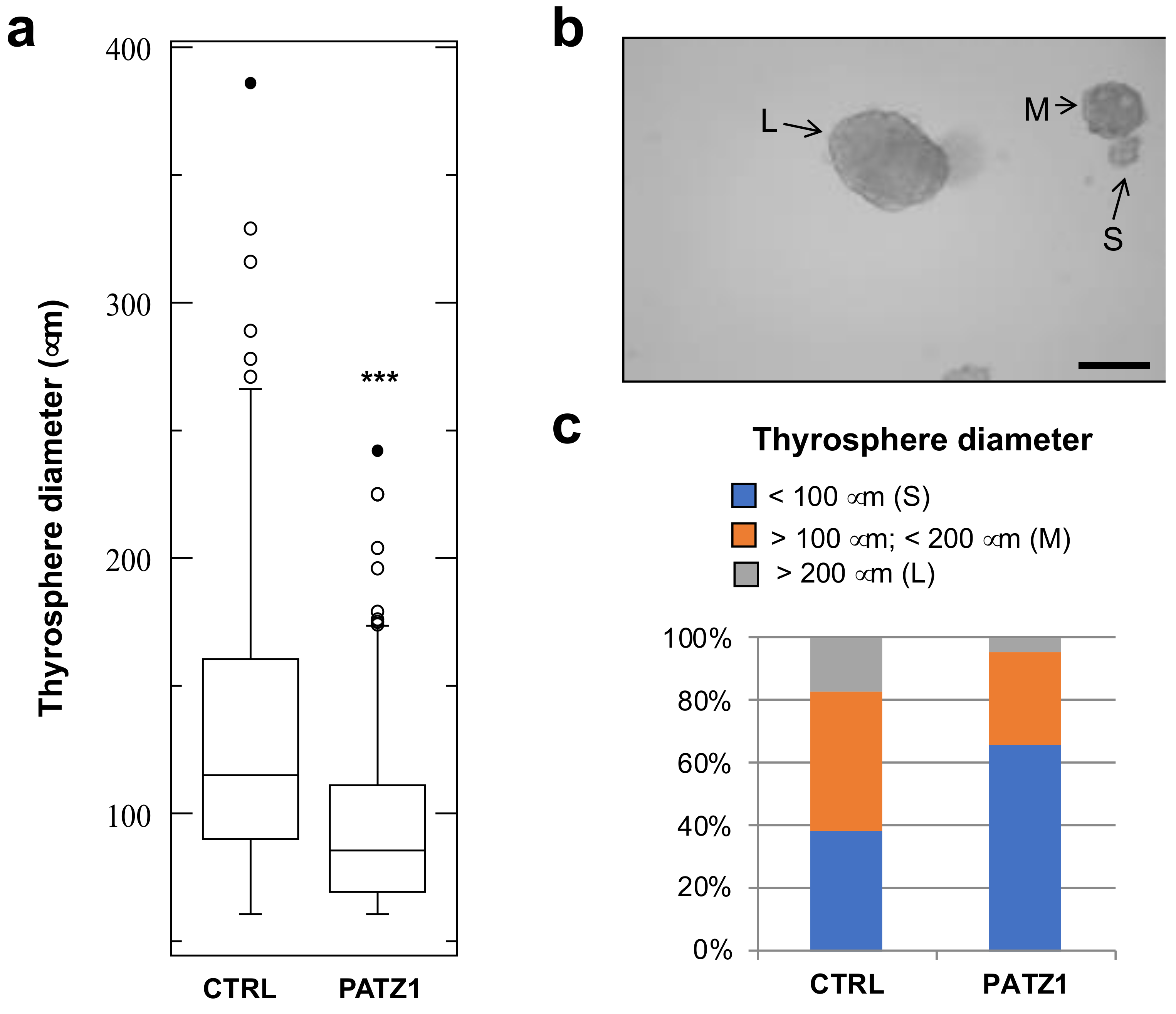 Genes 10 00127 g004