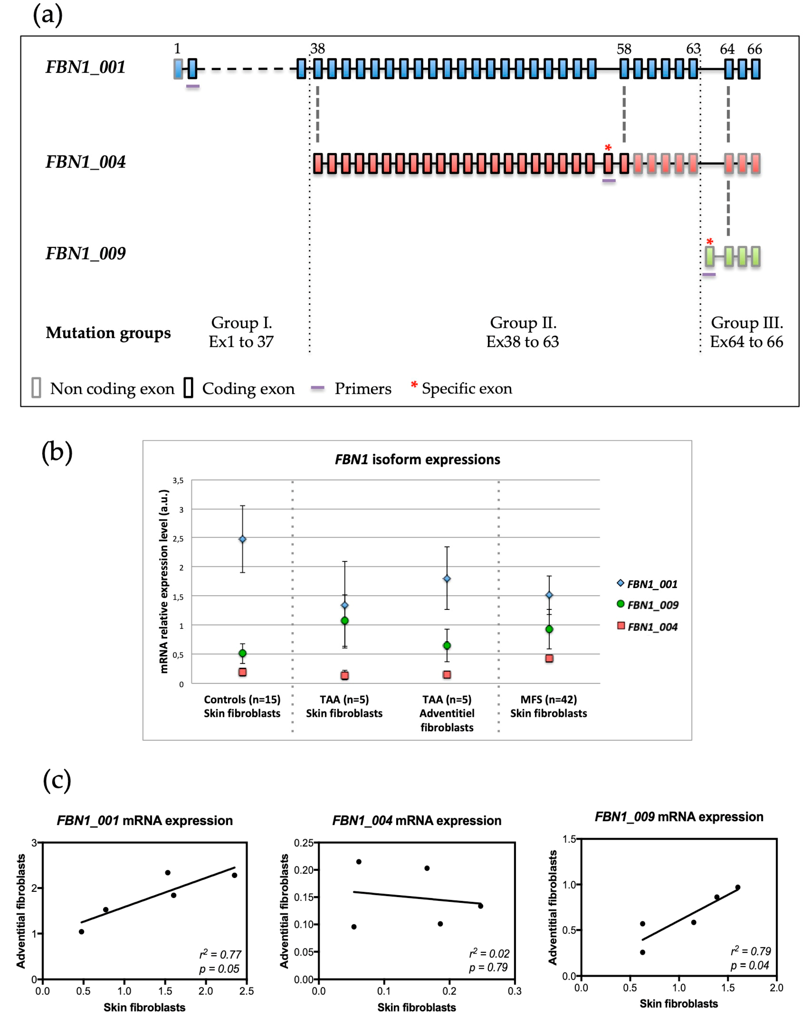 Genes 10 00128 g001