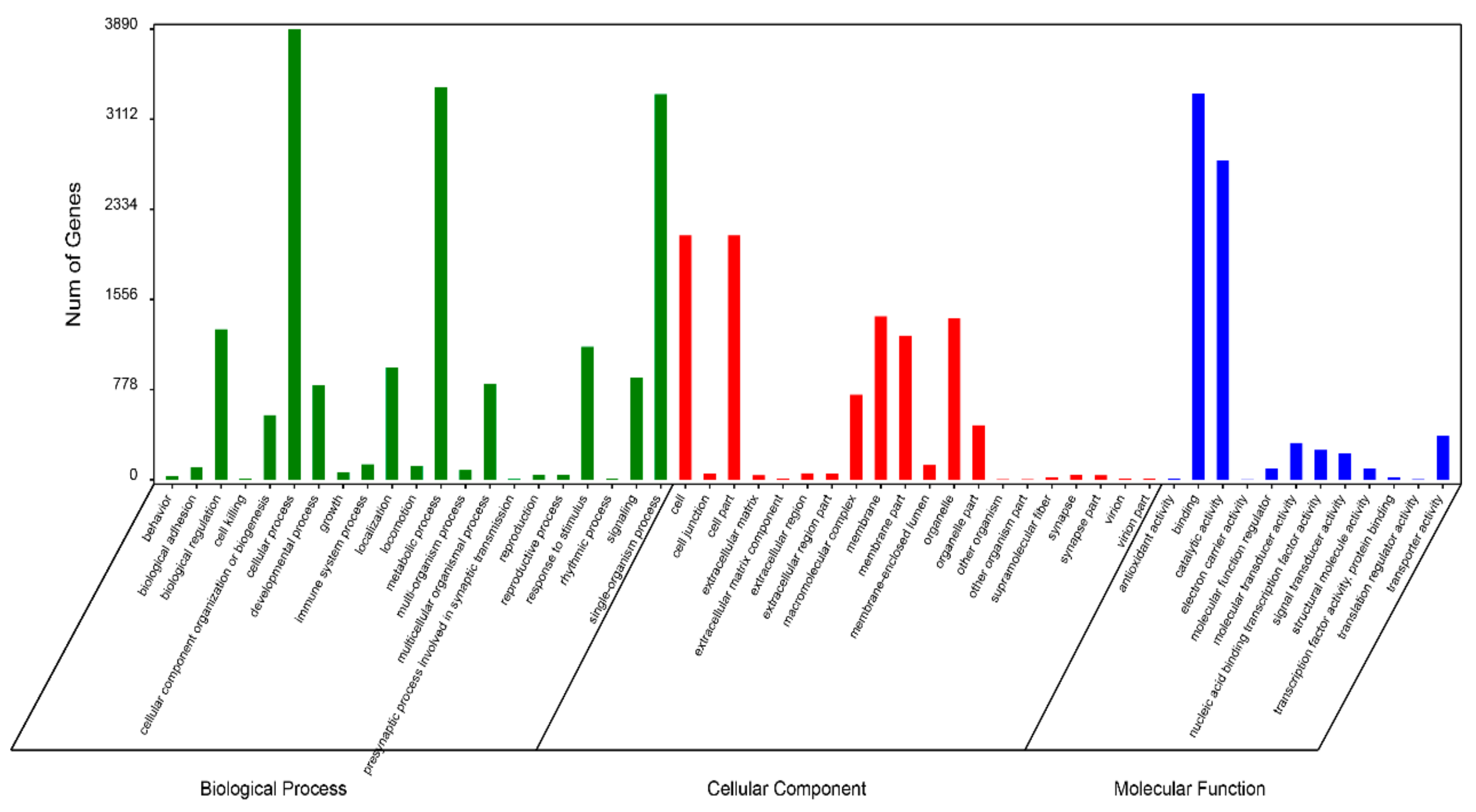Genes 10 00129 g003 Genes 10 00129 g003