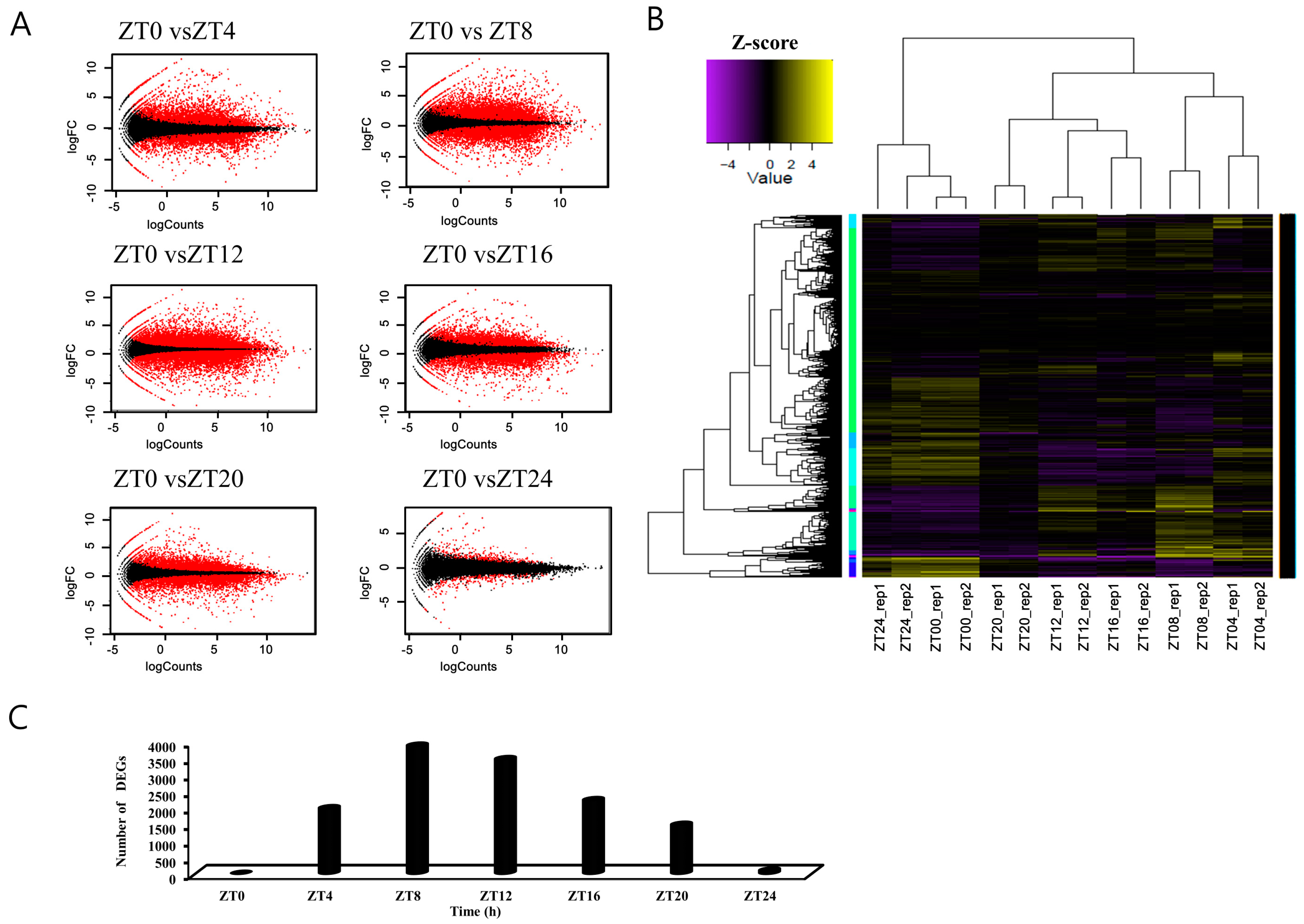 Genes 10 00130 g002