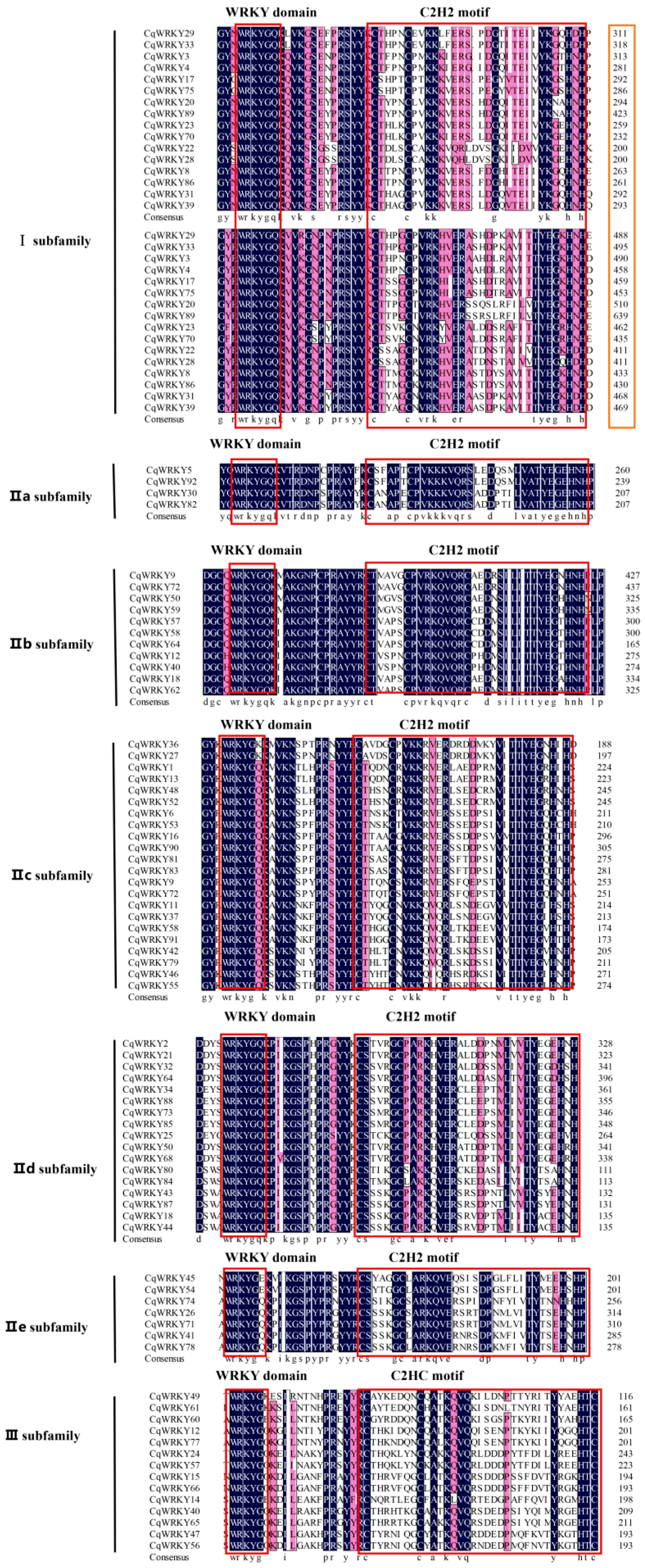 Genes 10 00131 g0a10