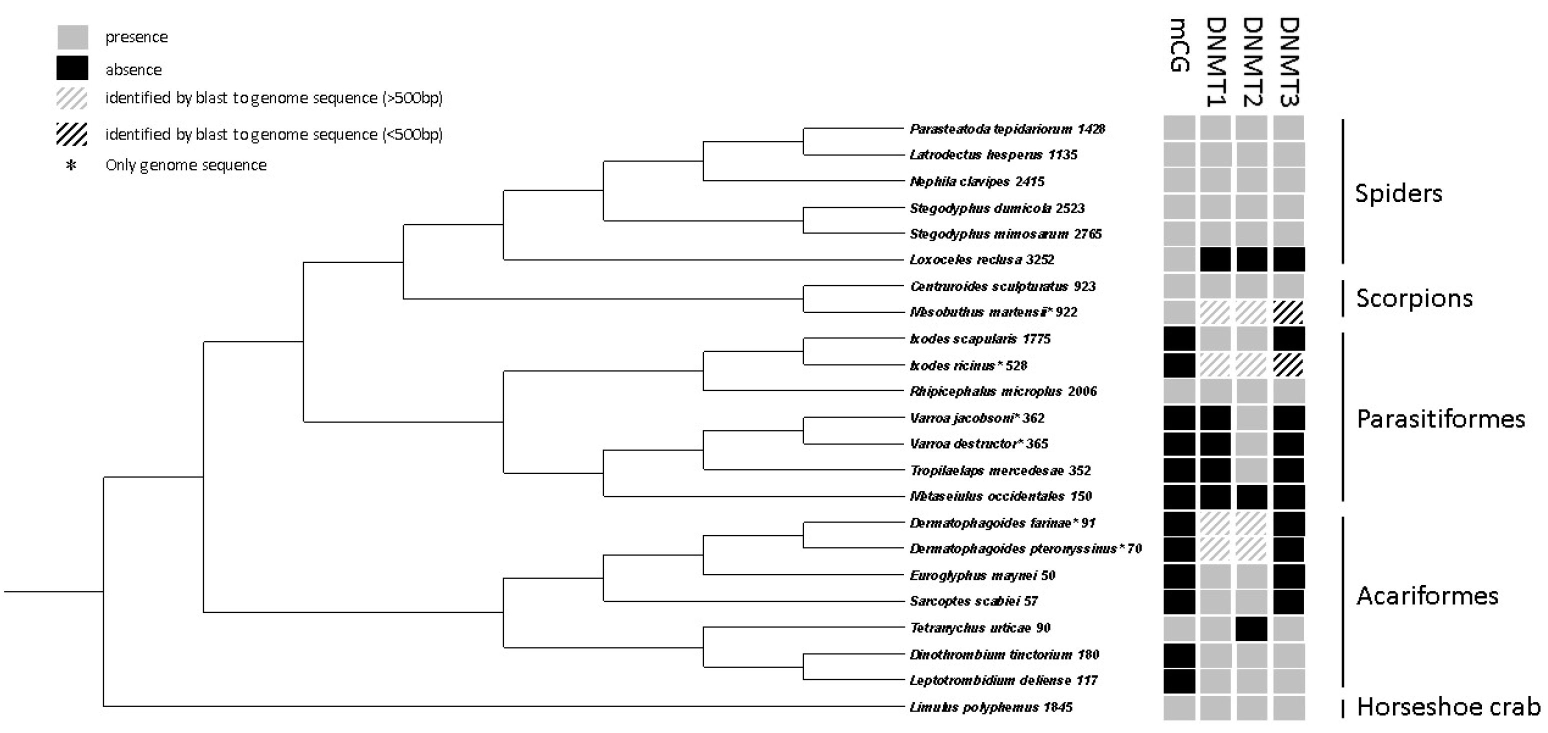 Genes 10 00137 g004