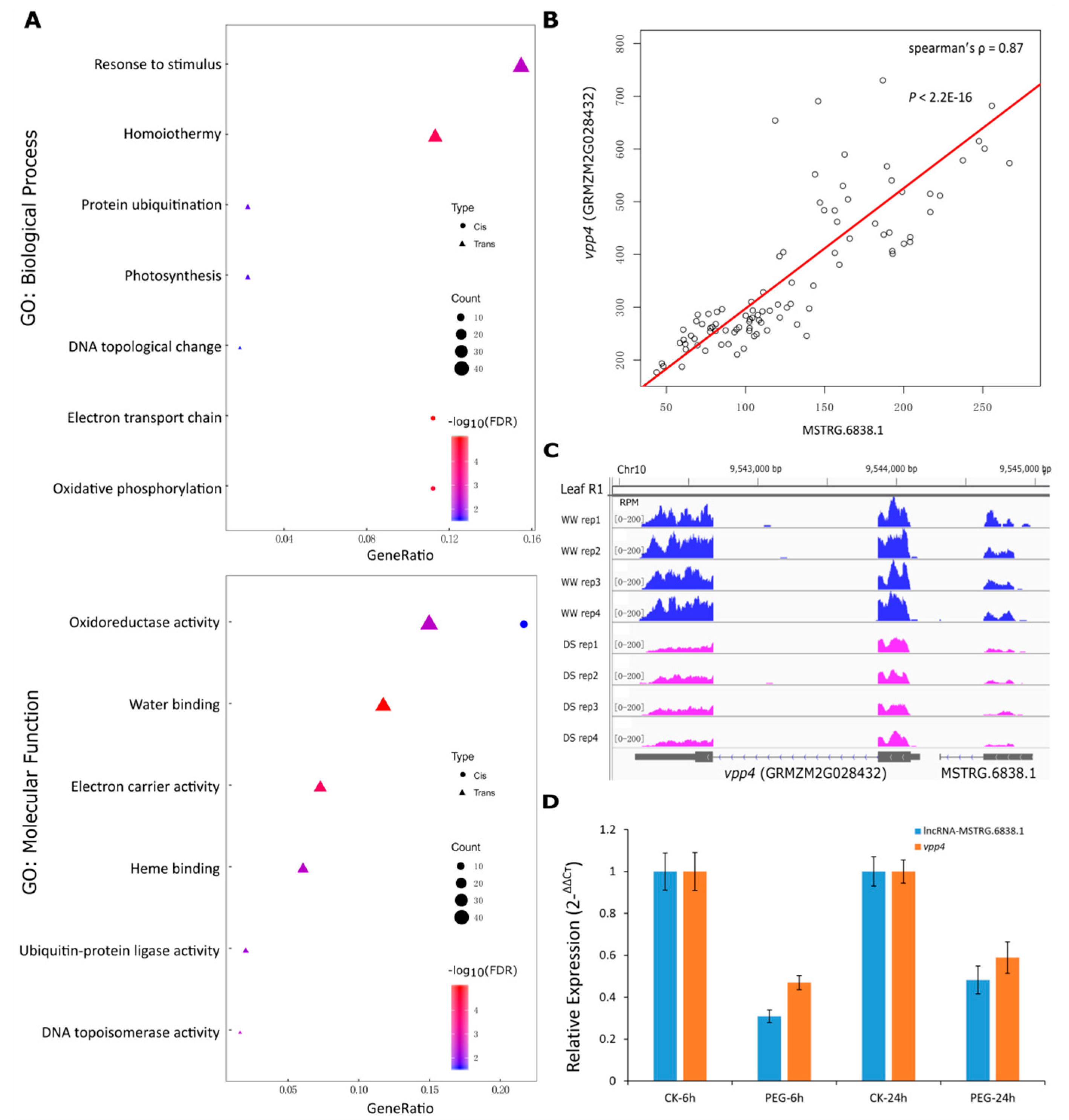 Genes 10 00138 g004