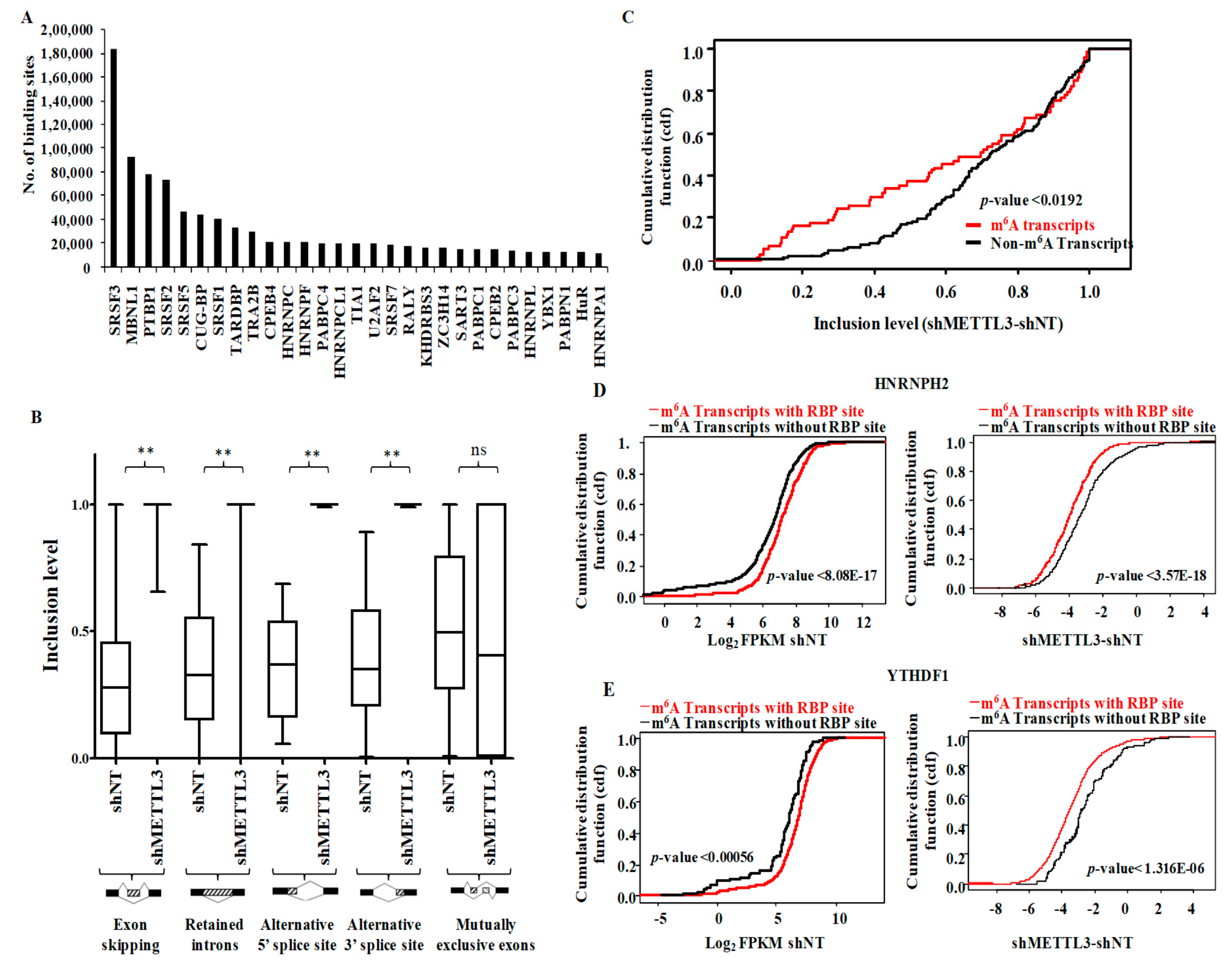 Genes 10 00141 g004 Genes 10 00141 g004